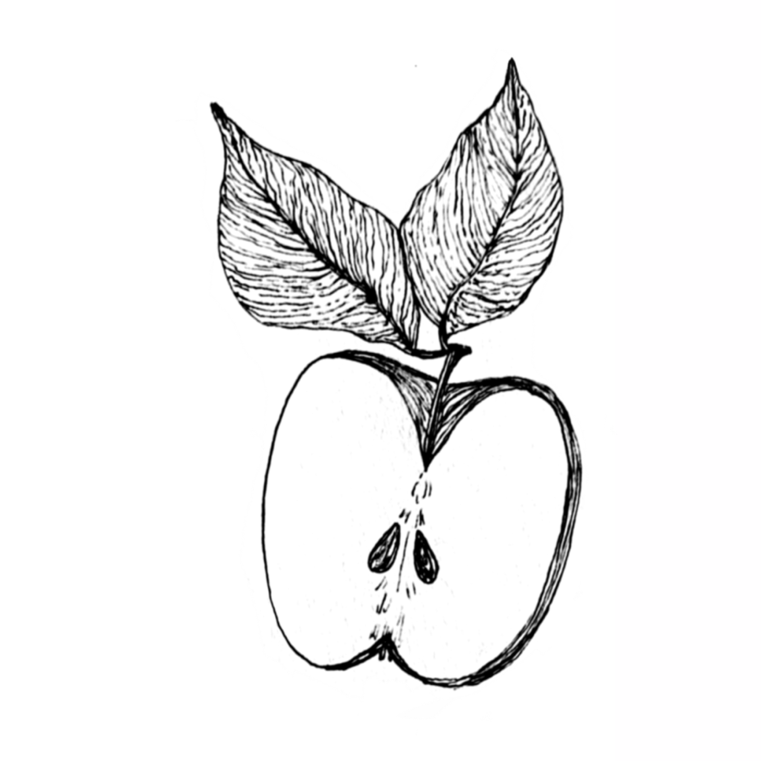 APPLE.png
