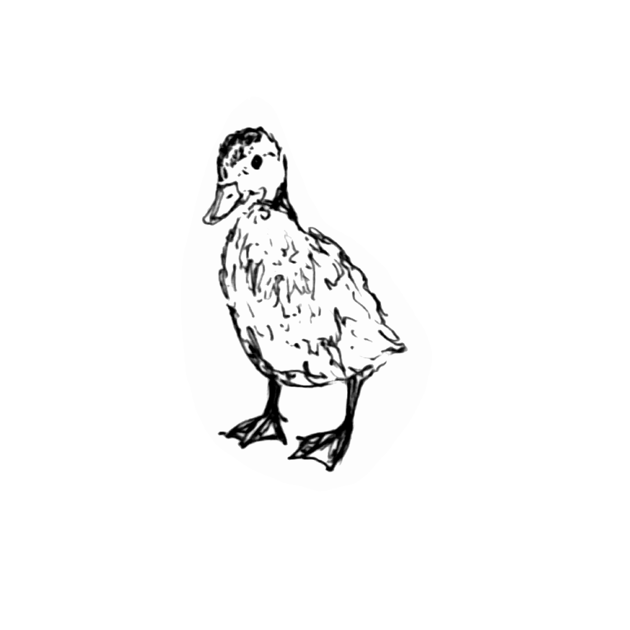 p8.png