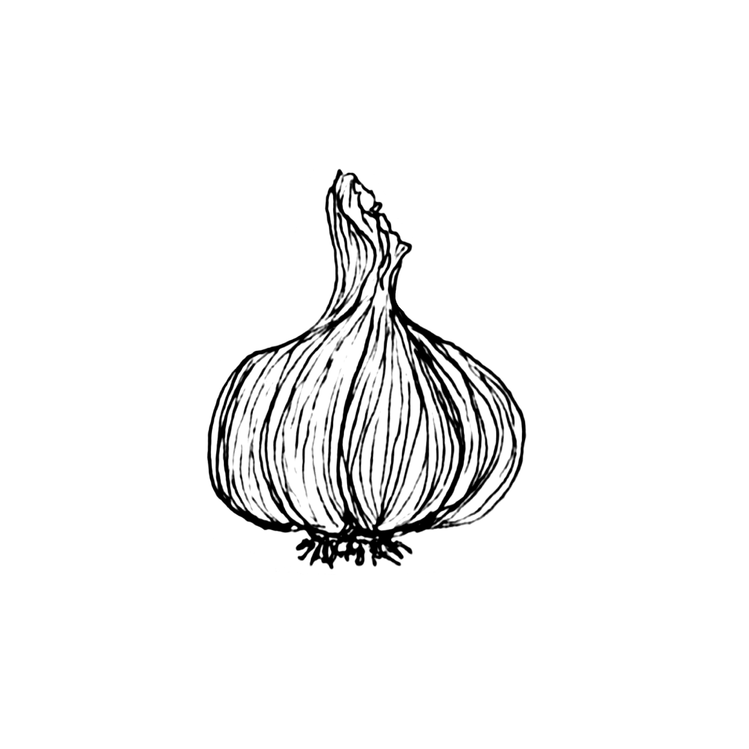 GARLIC.png