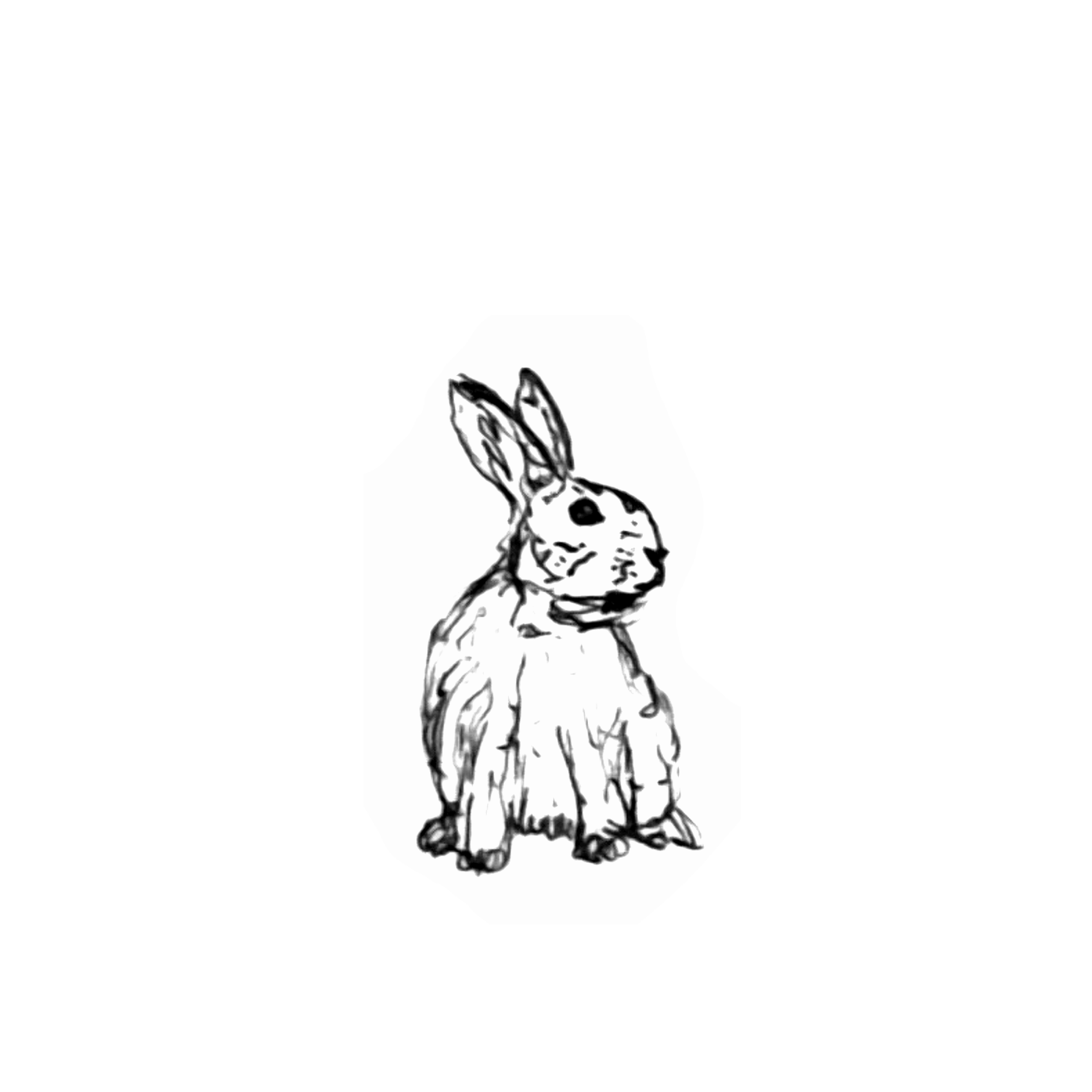 p18.png