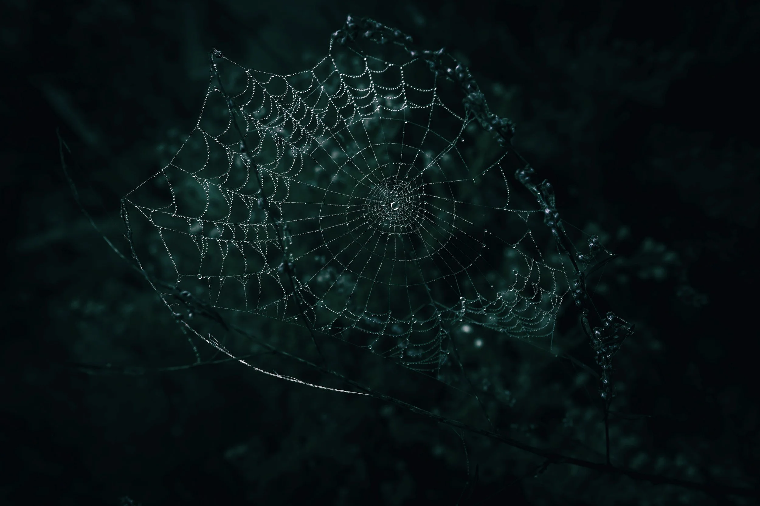 A armadilha do lucro presumido: STJ aumenta a carga tributária e exige diagnóstico imediato