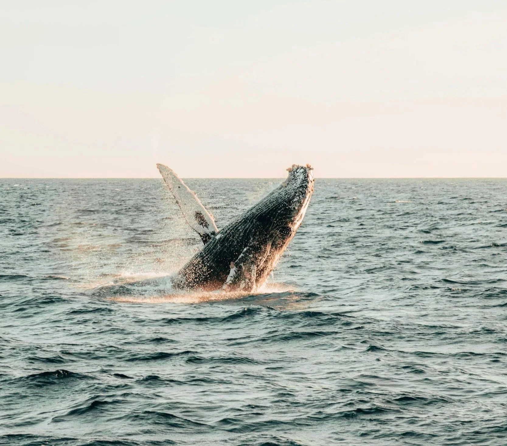 unsplash-image-G5oJ4BiqUP0.jpg