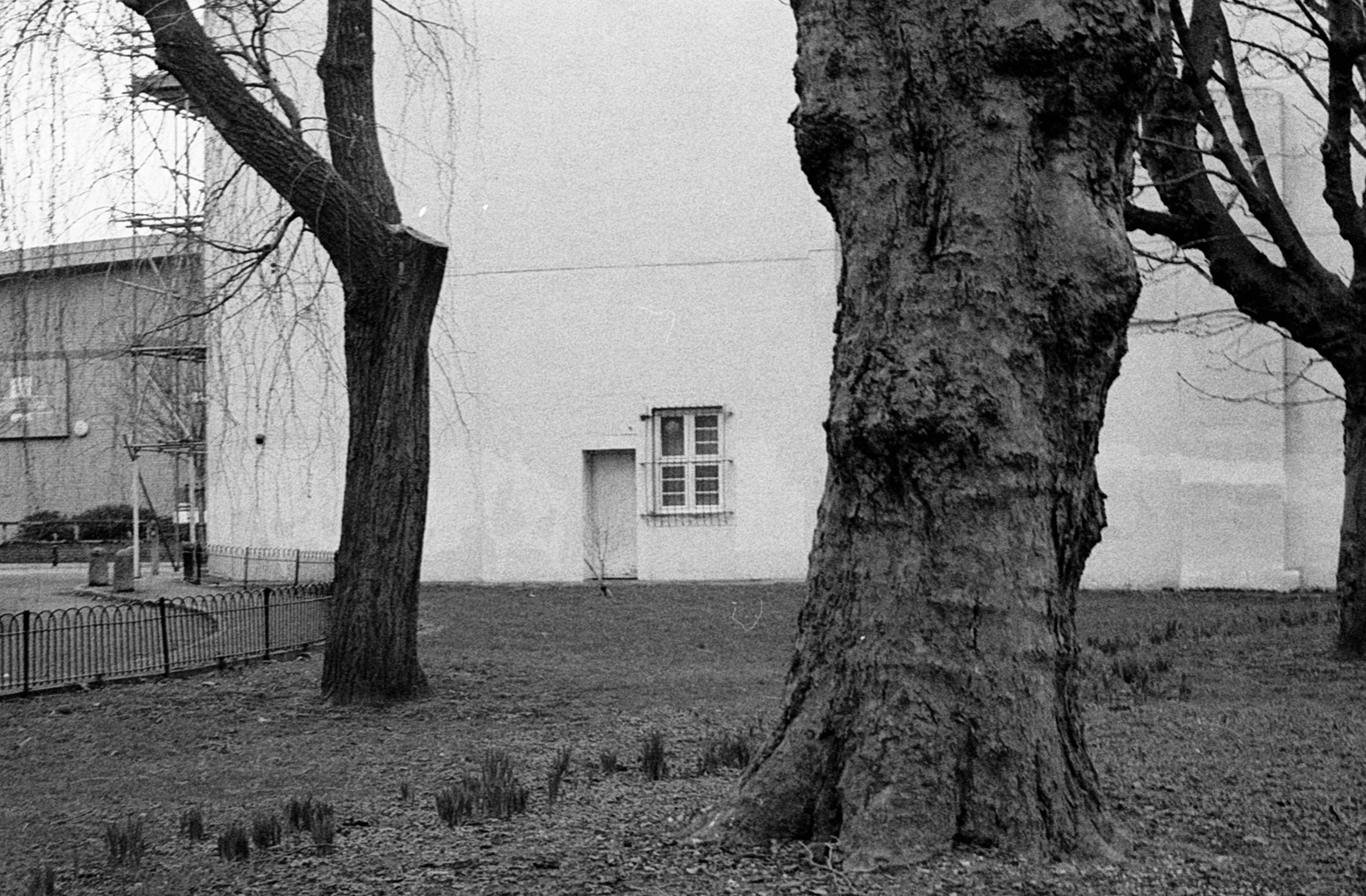 2025.02 London Visit - 5.jpg