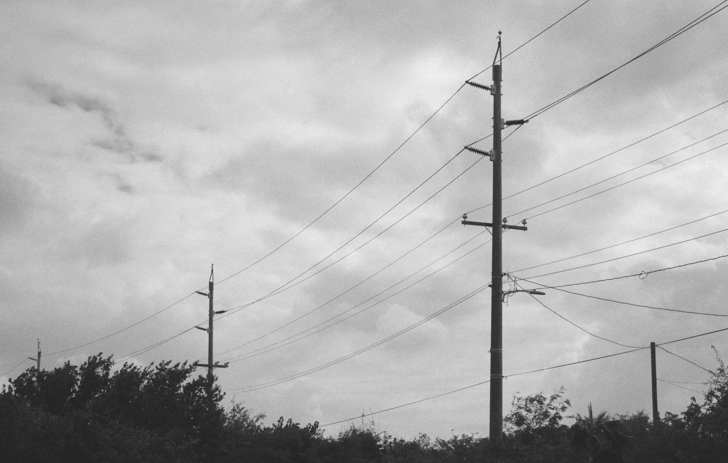 Black and white photograph of three utility poles along with power lines, with bushes and trees at the bottom, under a cloudy sky.