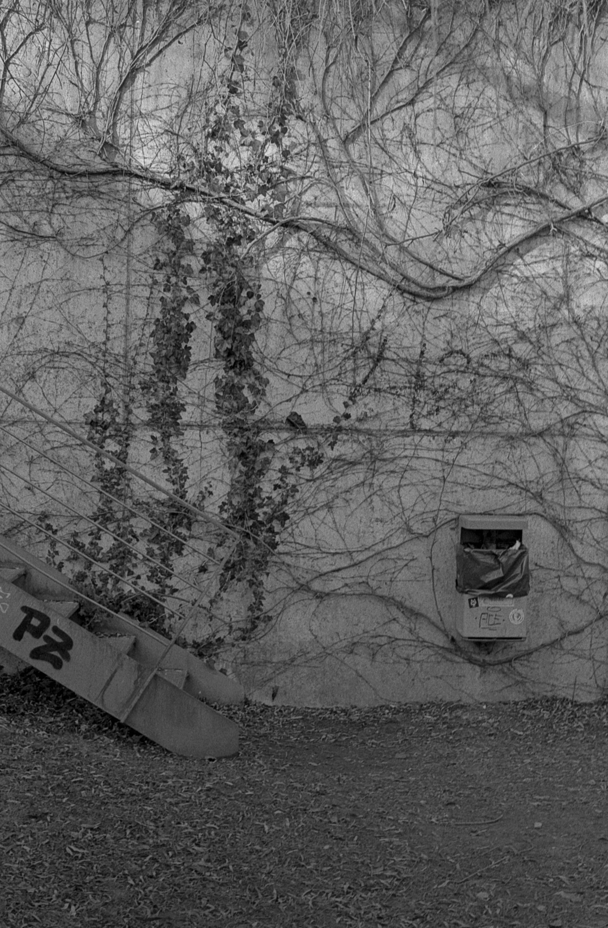 2025.02 Frauenfeld and Forest - 19.jpg