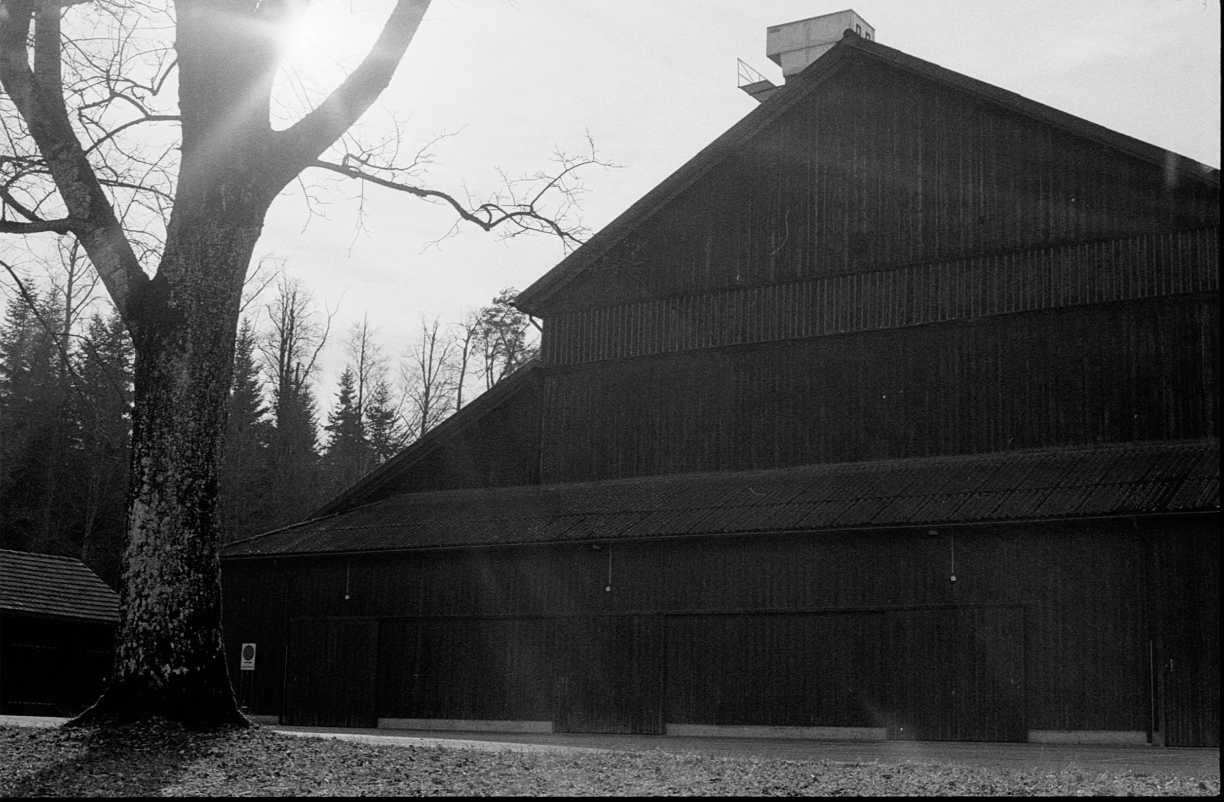 2025.02 Frauenfeld and Forest - 21.jpg