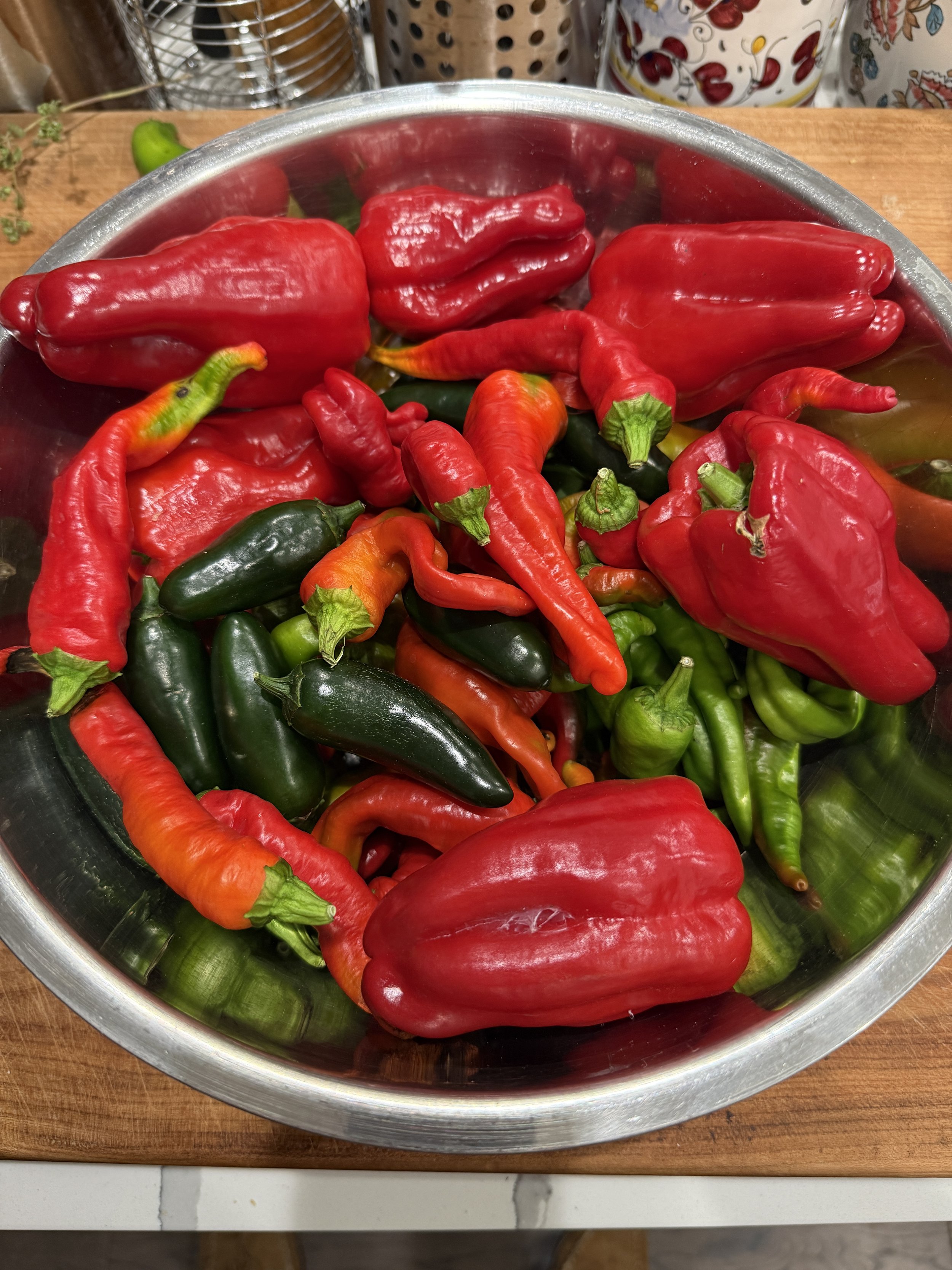 July blooming, fruiting, and First pepper harvest
