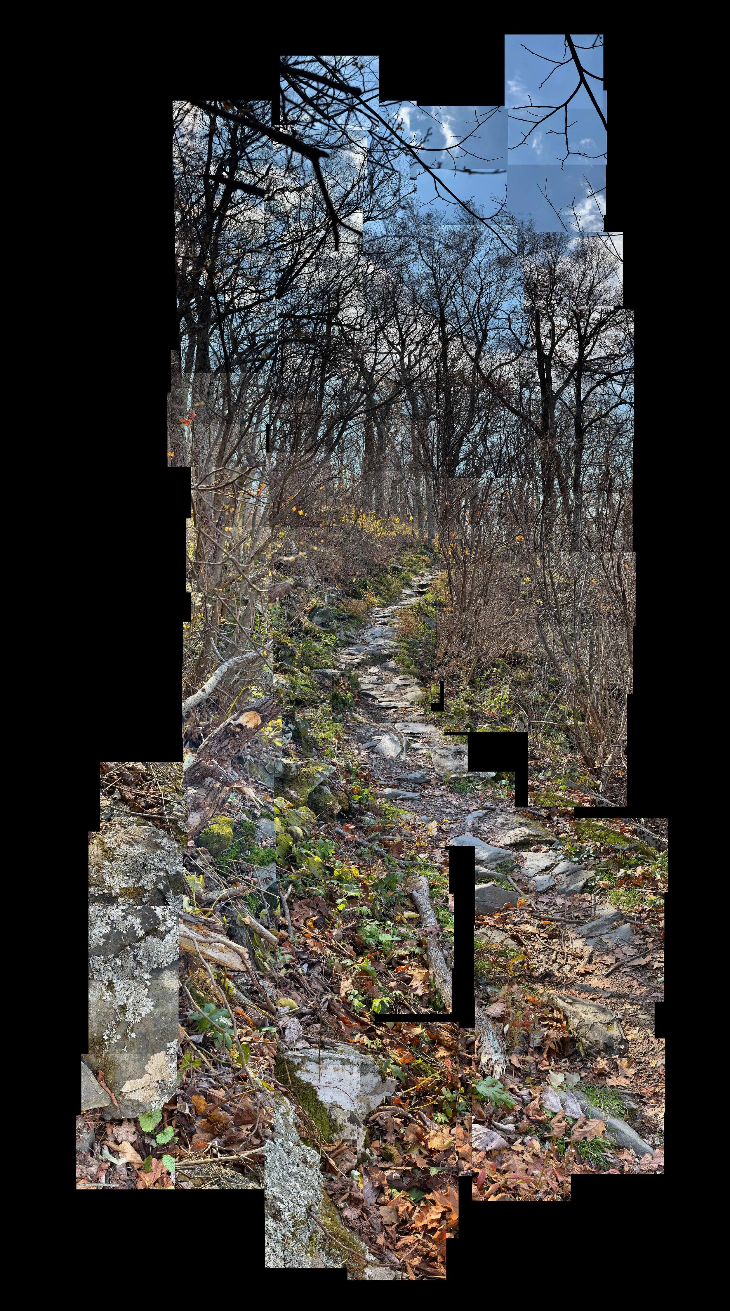 Bear Fence Trail--One Third Downpayment