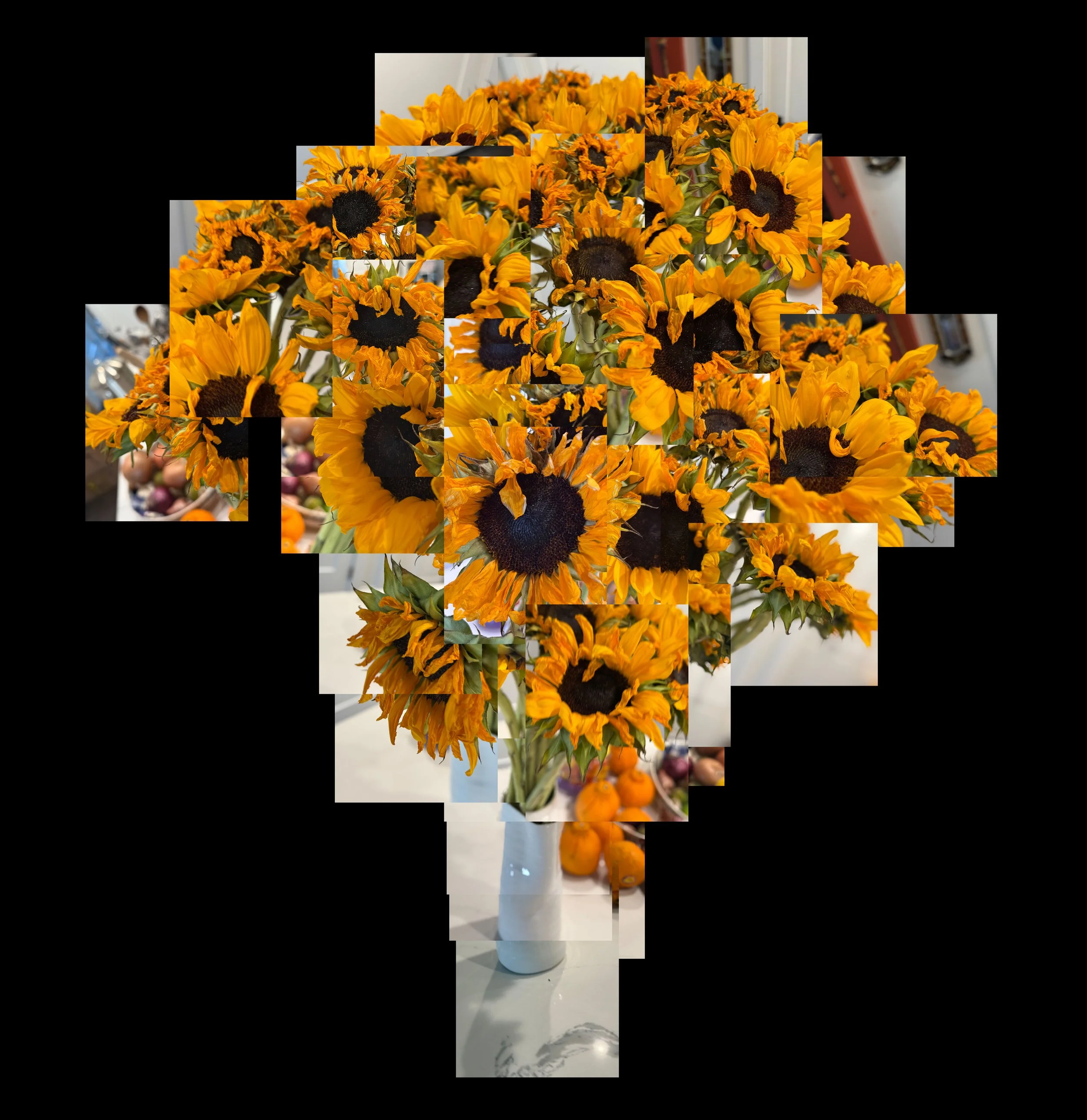 Sunflowers Photo Joiner--One Third Downpayment