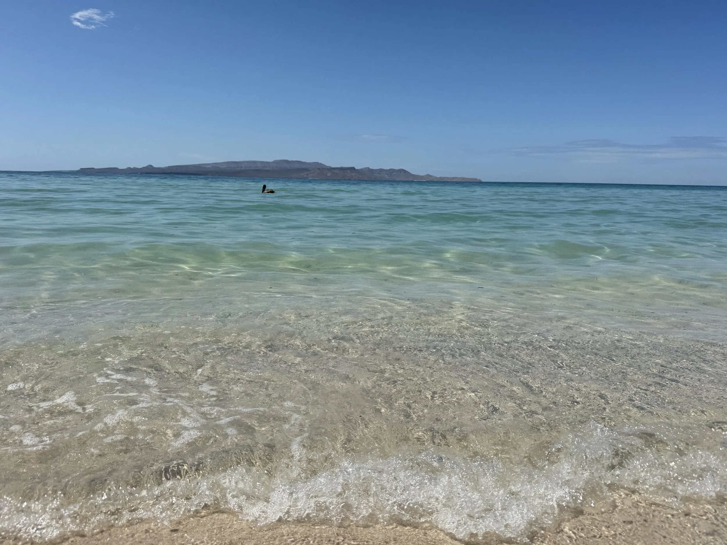 IMG_5664.JPG