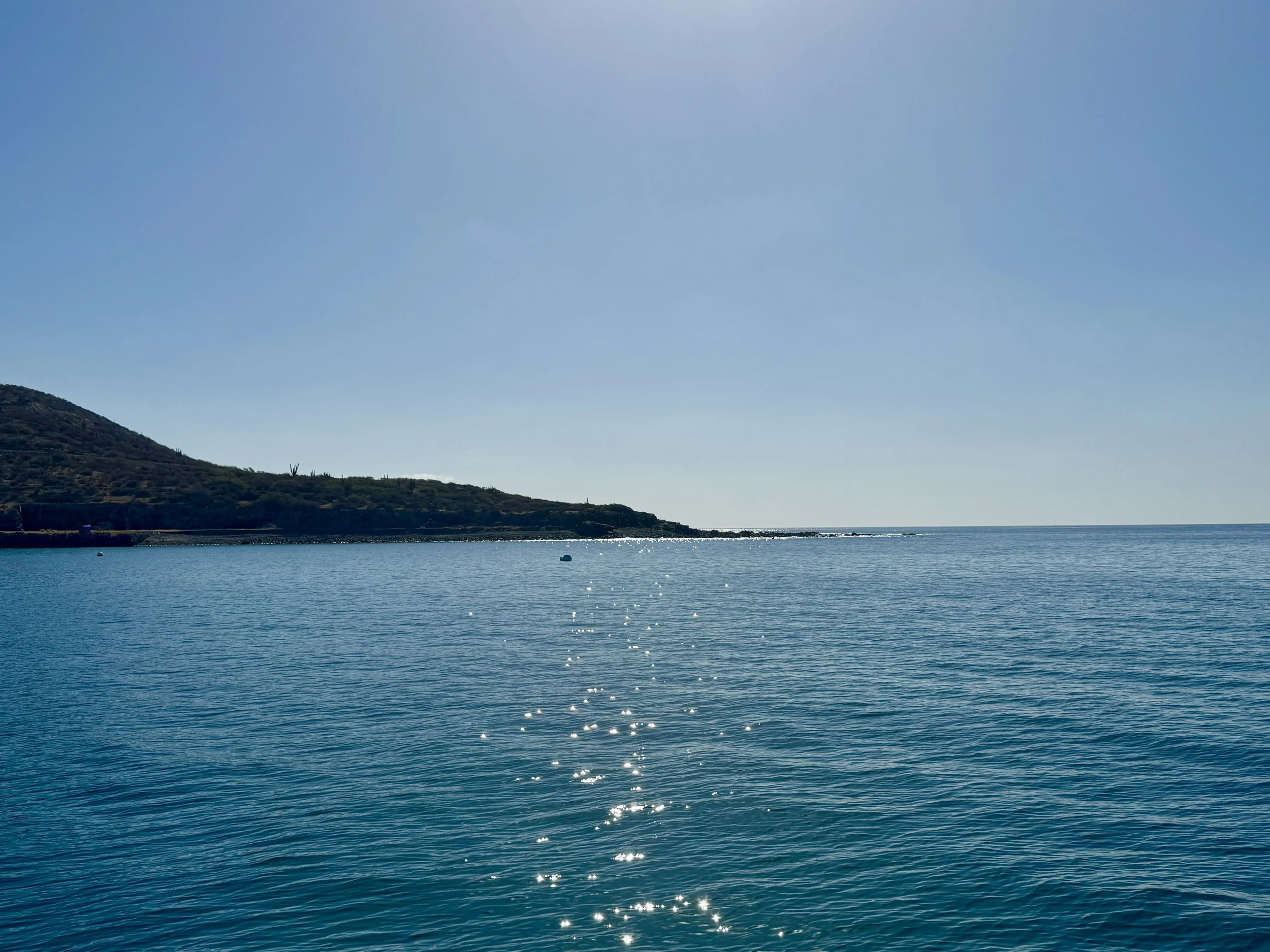 IMG_6302.JPEG