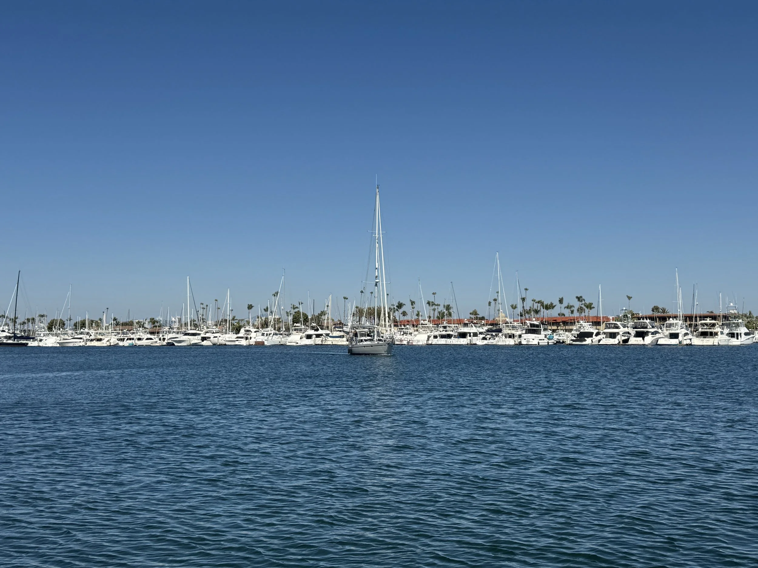 IMG_6627.JPG