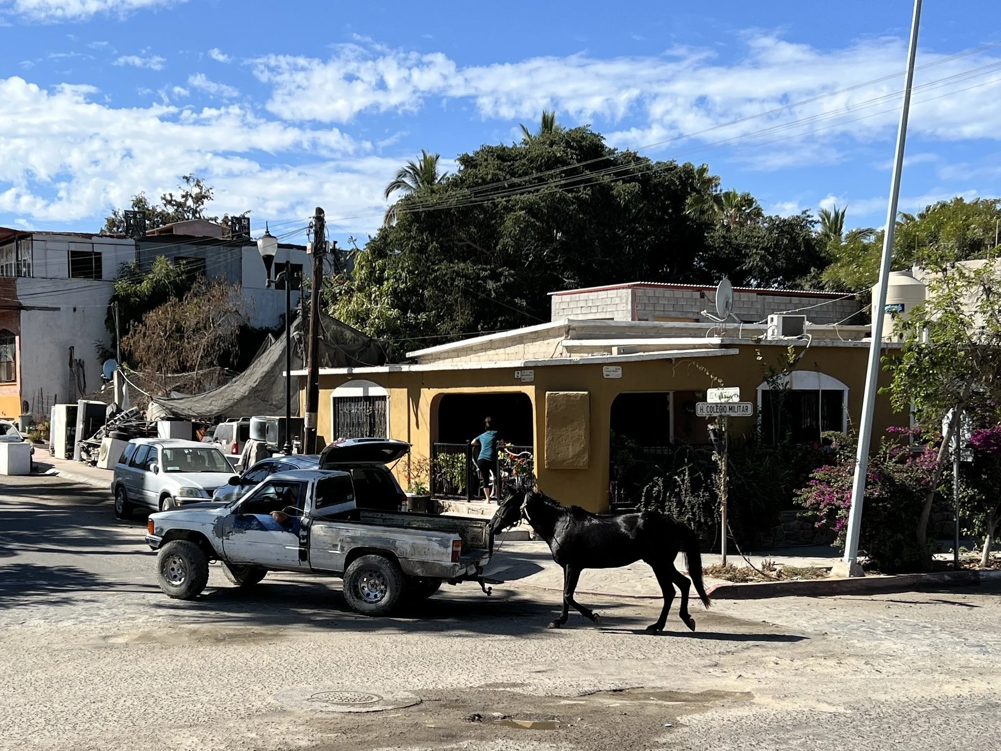IMG_9013.JPEG