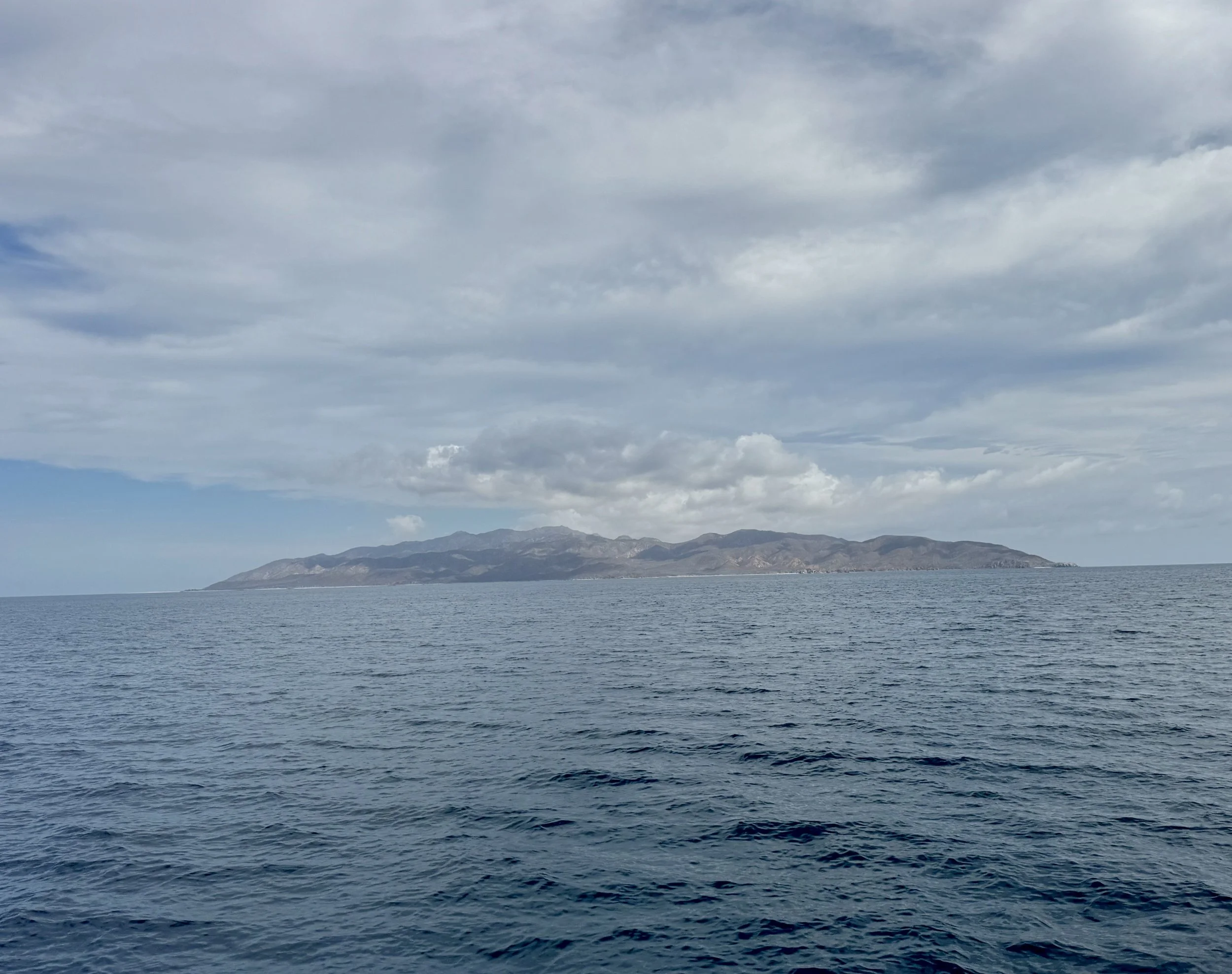 IMG_4462.JPEG