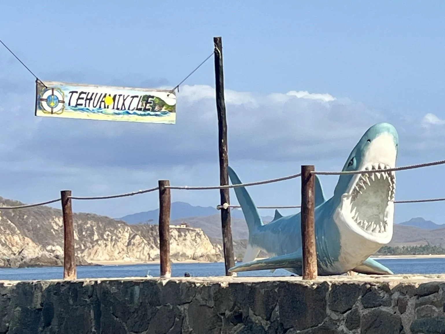 20260222_223814224_iOS 1.jpg