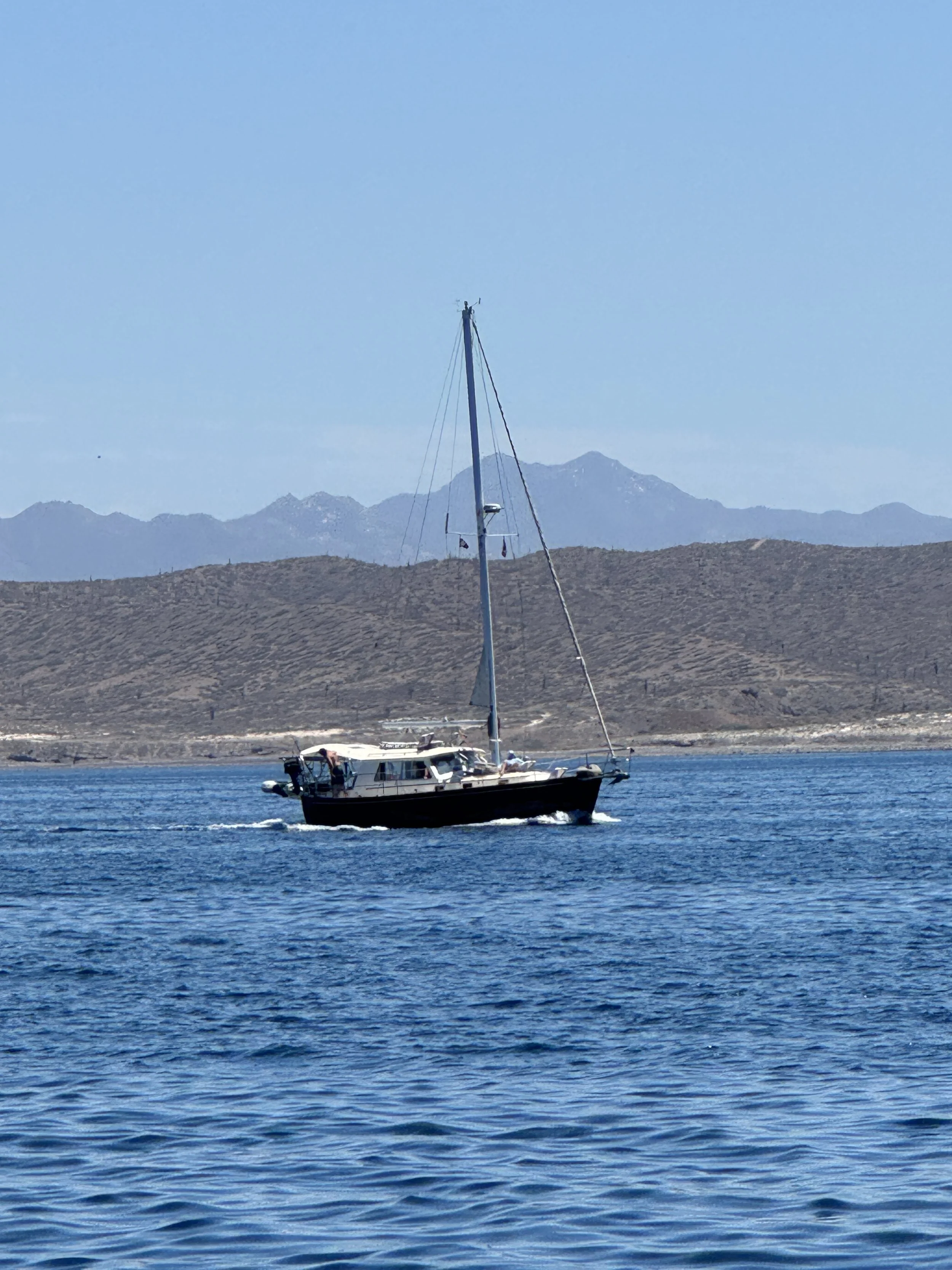 IMG_4493.JPG