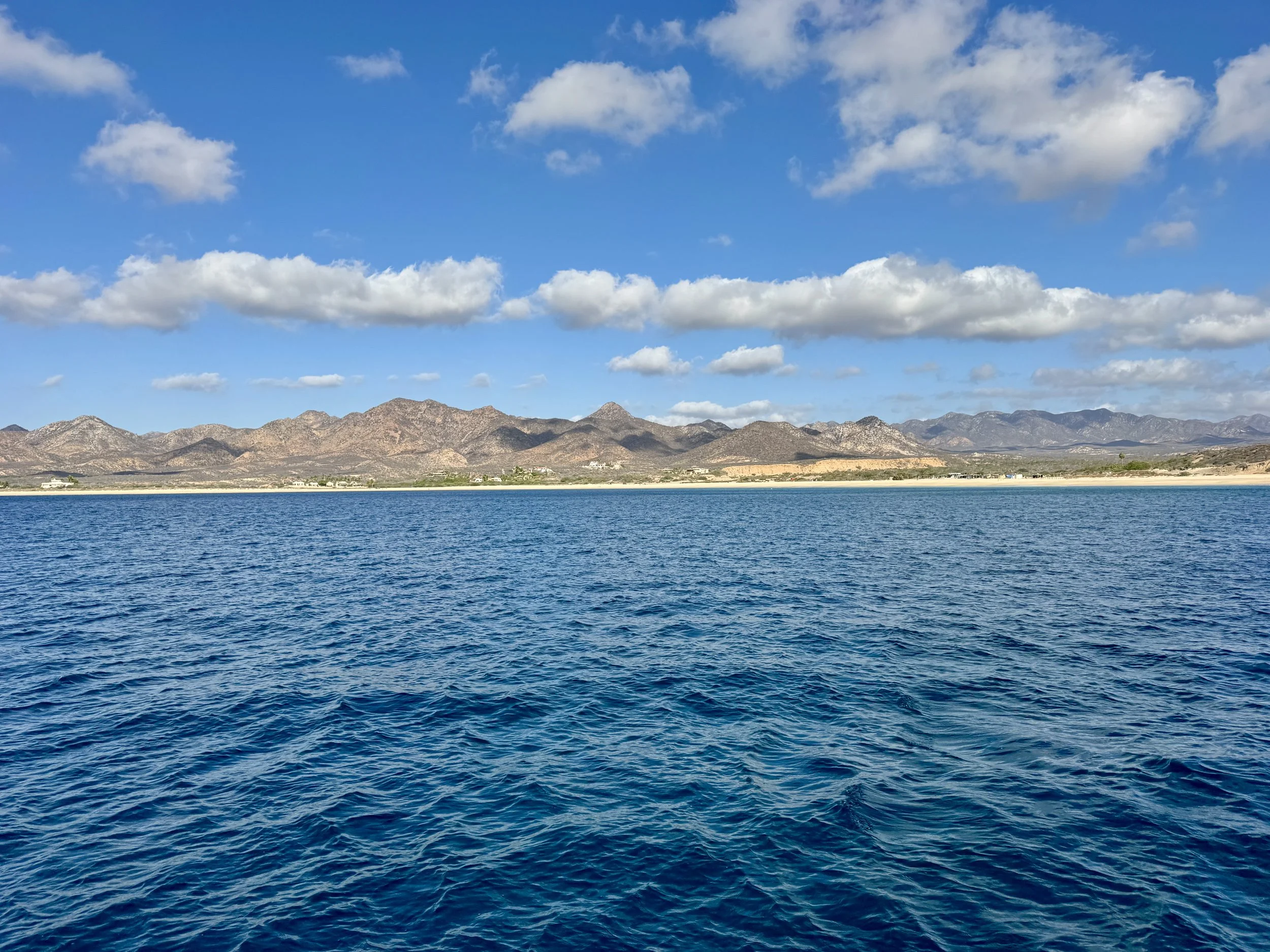 IMG_6374.JPEG