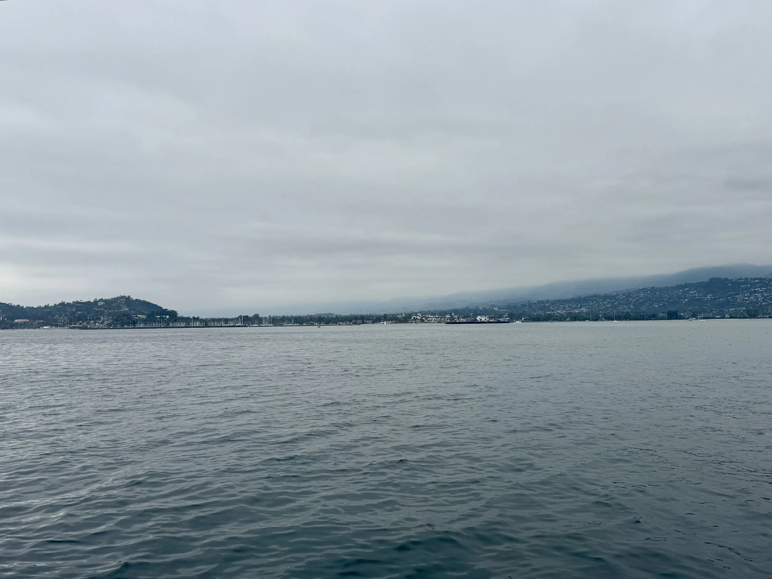 IMG_6828.JPEG