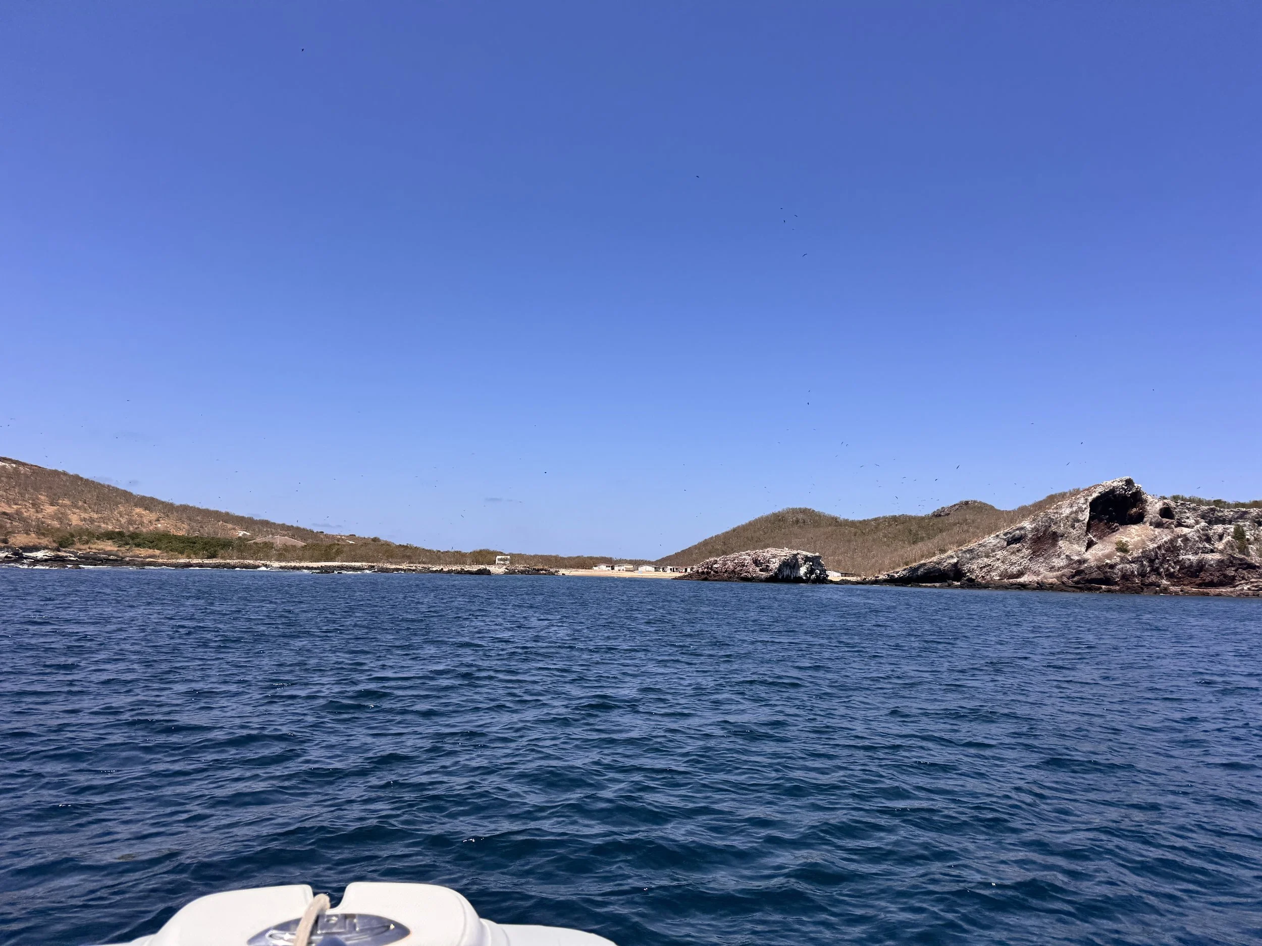 IMG_3736.JPG