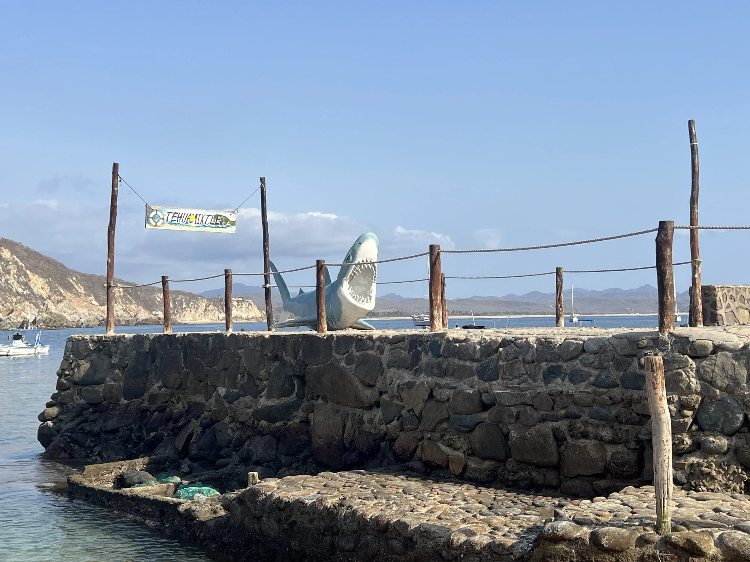 20260222_223814224_iOS 2.jpg