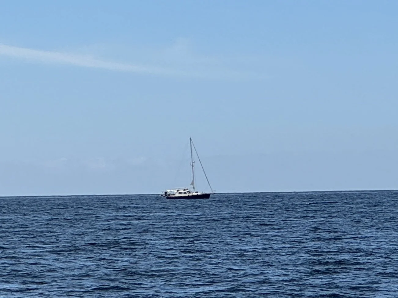 IMG_4298.jpg