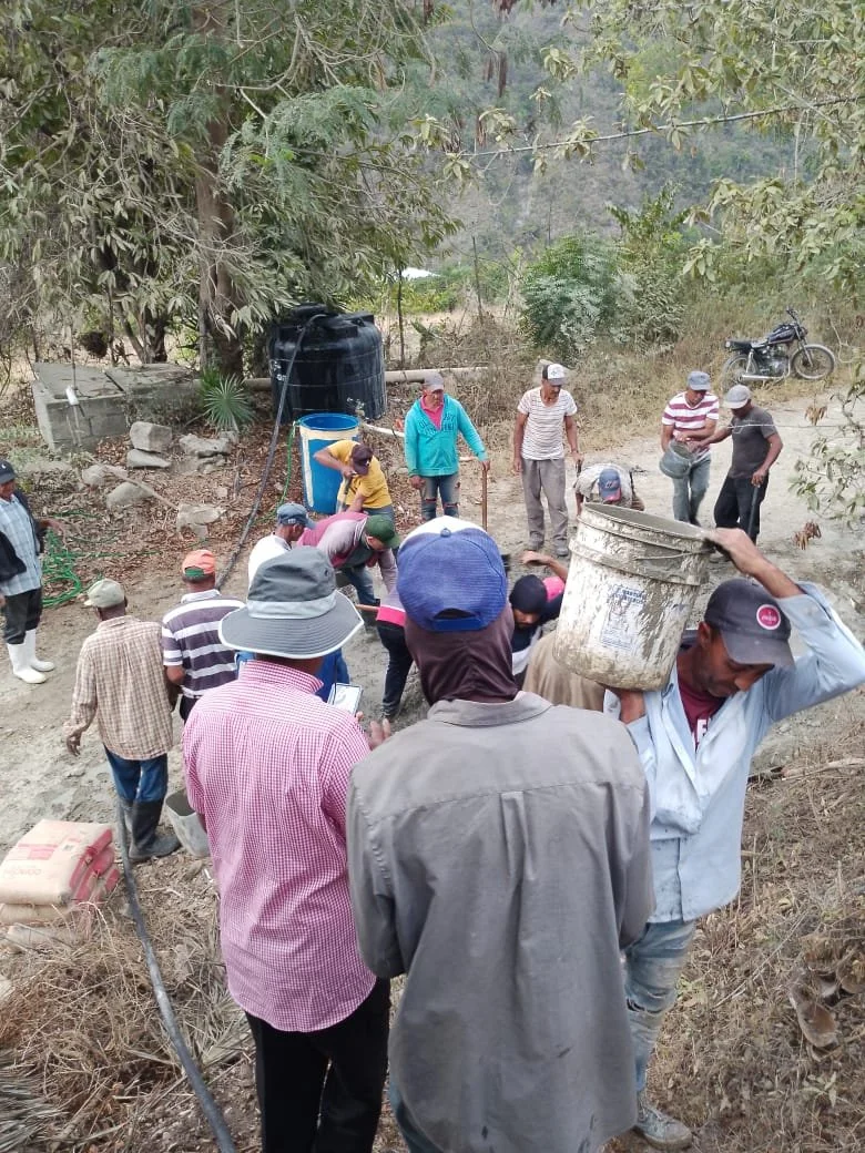 Group of people working outdoors near water containers and trees