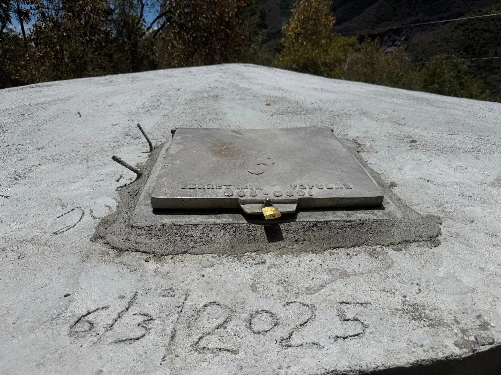 31d261d0-f208-4970-b03f-253363f64785.jpeg