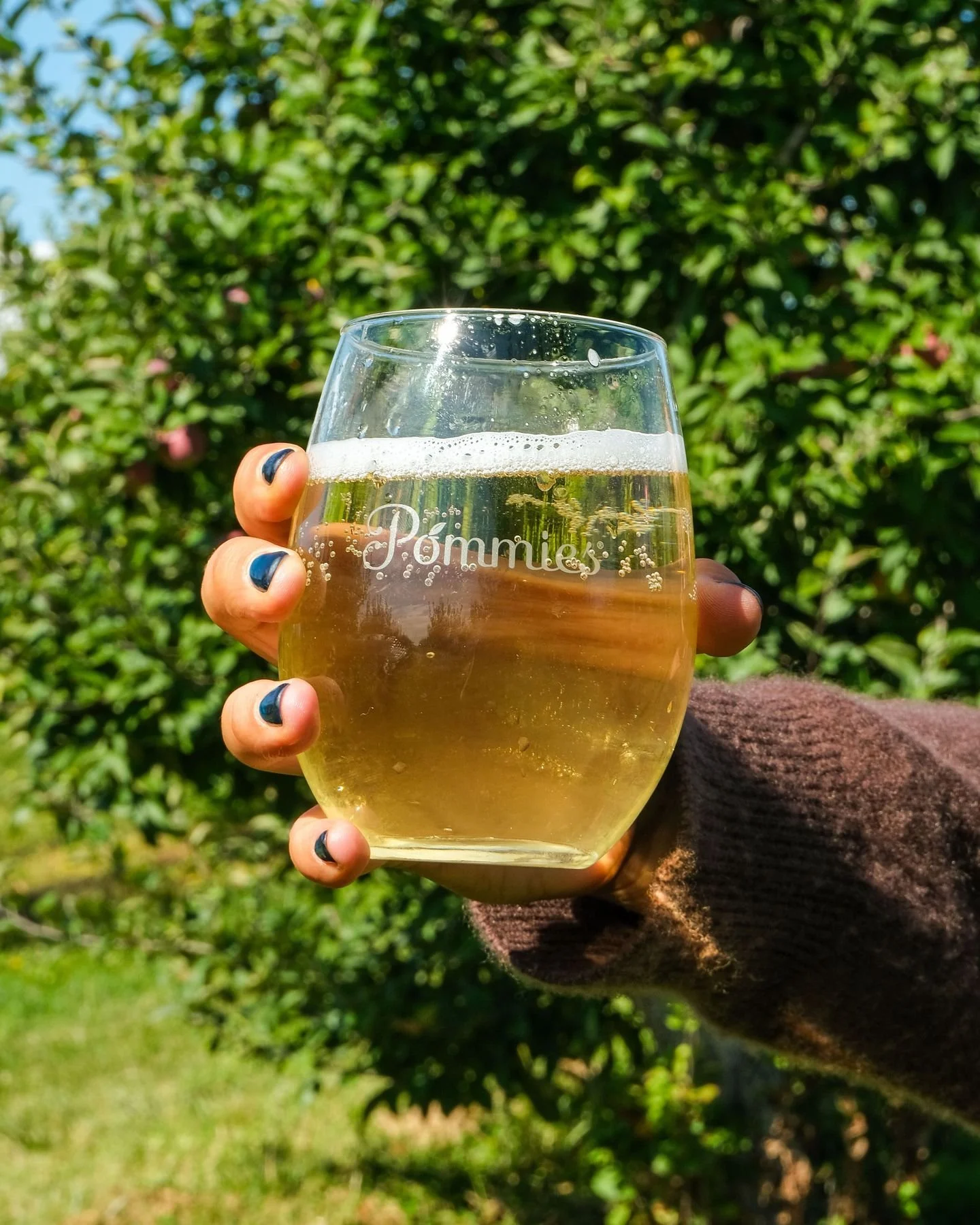 The most refreshing thing you'll have all day? A Pommies Cider 😎

Whether you want to stick with the OG and enjoy a full-balanced Pommies Original, or you want to switch it up from something a little more sophisticated with Pommies Farmhouse, we hav