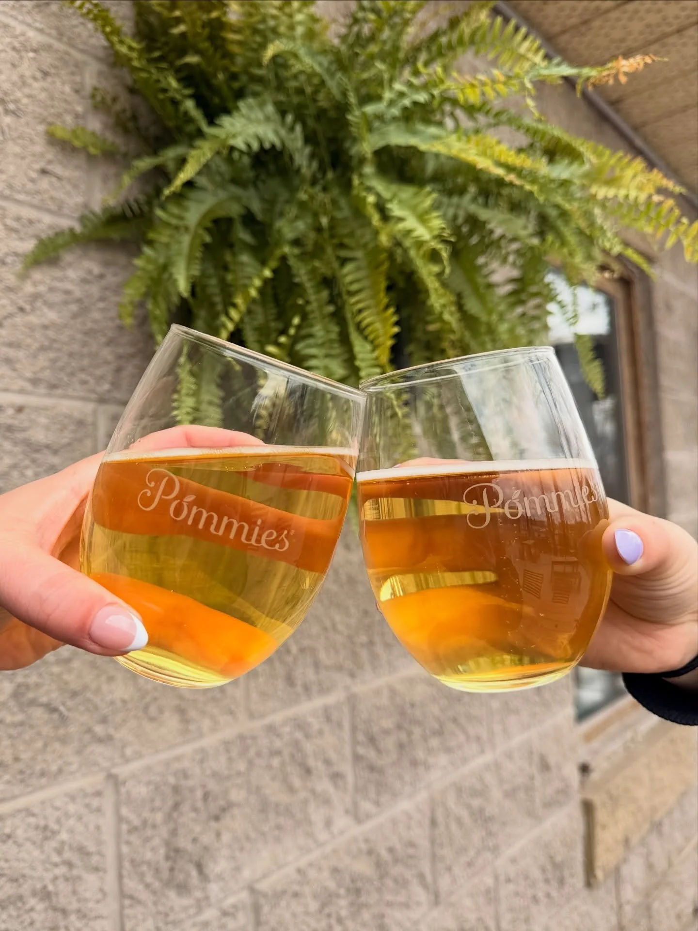 There's nothing like charging a glass of cider made with 100% Ontario Apples with a friend! 

Tag who you cheers with! 🍻