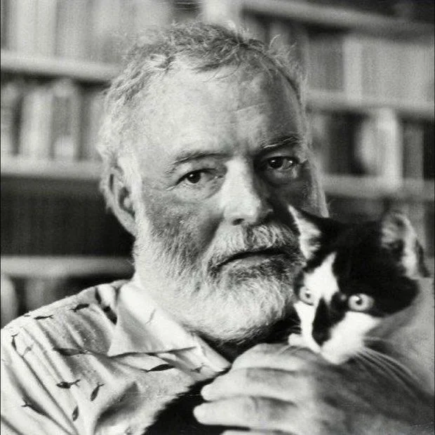 &ldquo;A cat has absolute emotional honesty: human beings, for one reason or another, may hide their feelings, but a cat does not.&rdquo; &mdash; Ernest Hemingway

Hemingway admired cats for what he called their &ldquo;emotional honesty.&rdquo; To hi