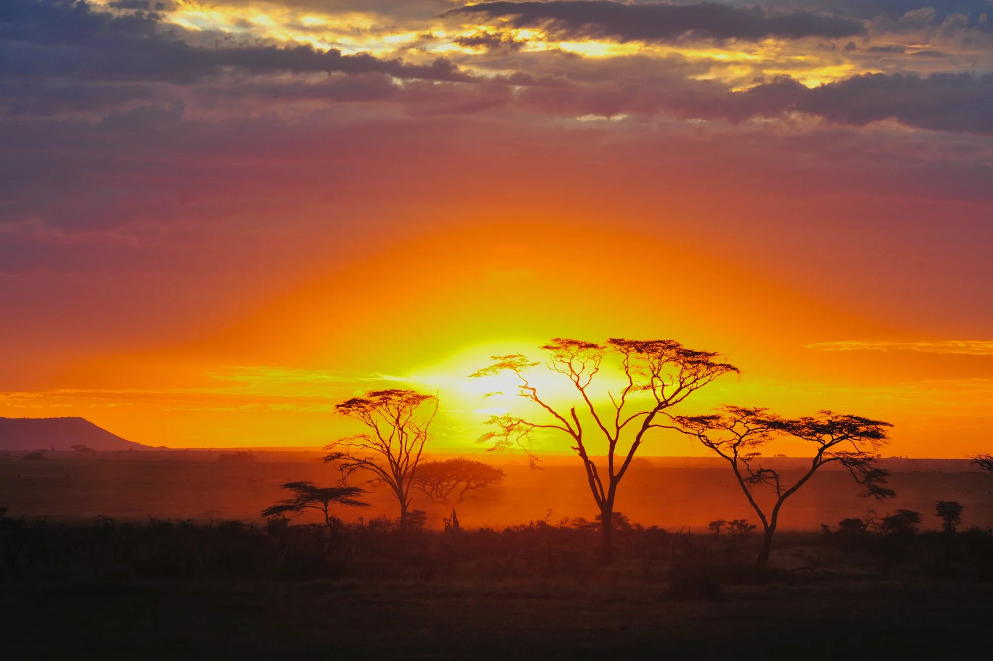 Serengeti_479.jpg