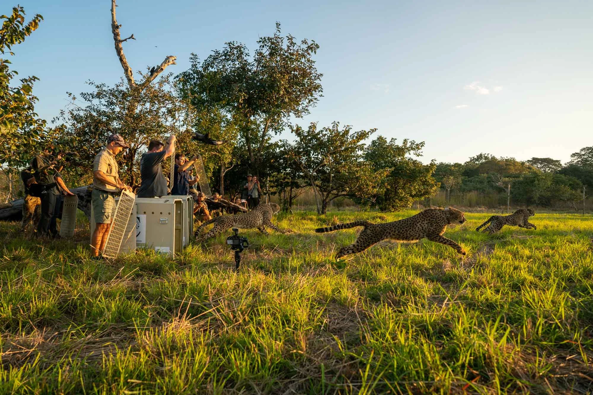 Mozambique_Cabelas_0259.jpg