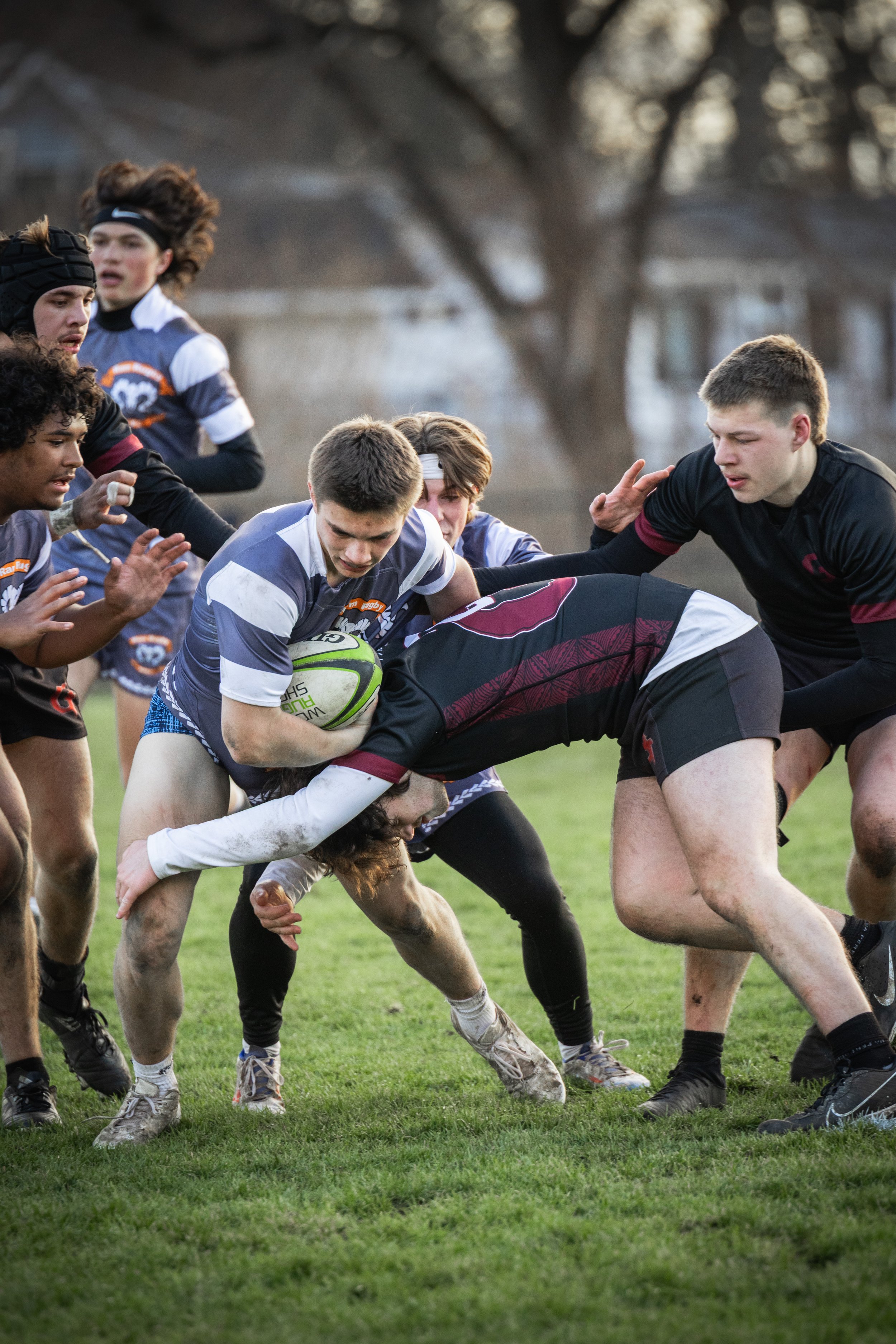 MensRugby-20250331-141.jpg