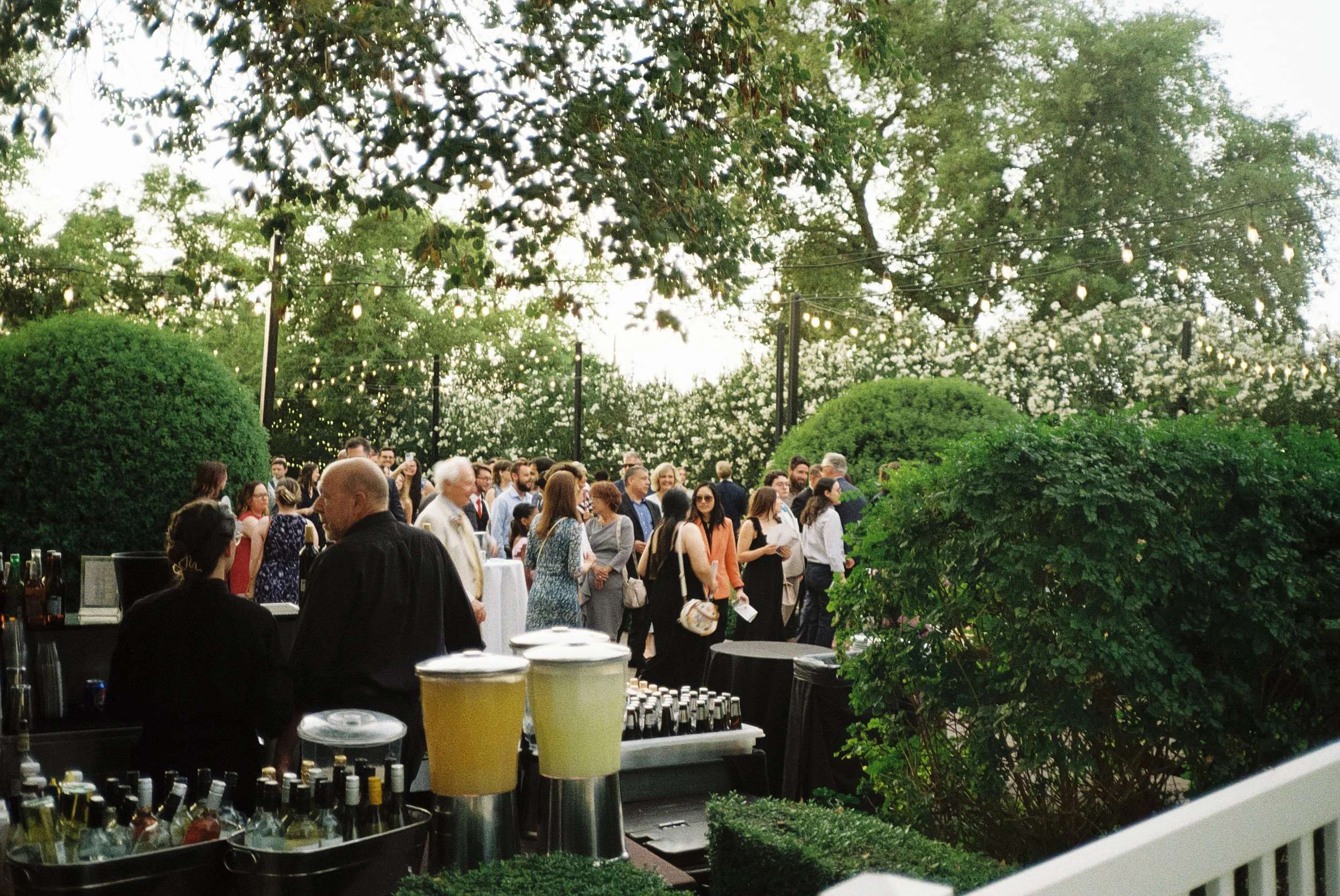 ZMM-film-540.jpg
