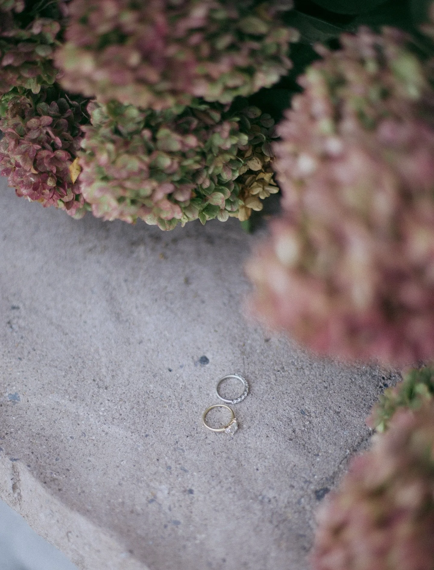 Sweet details
