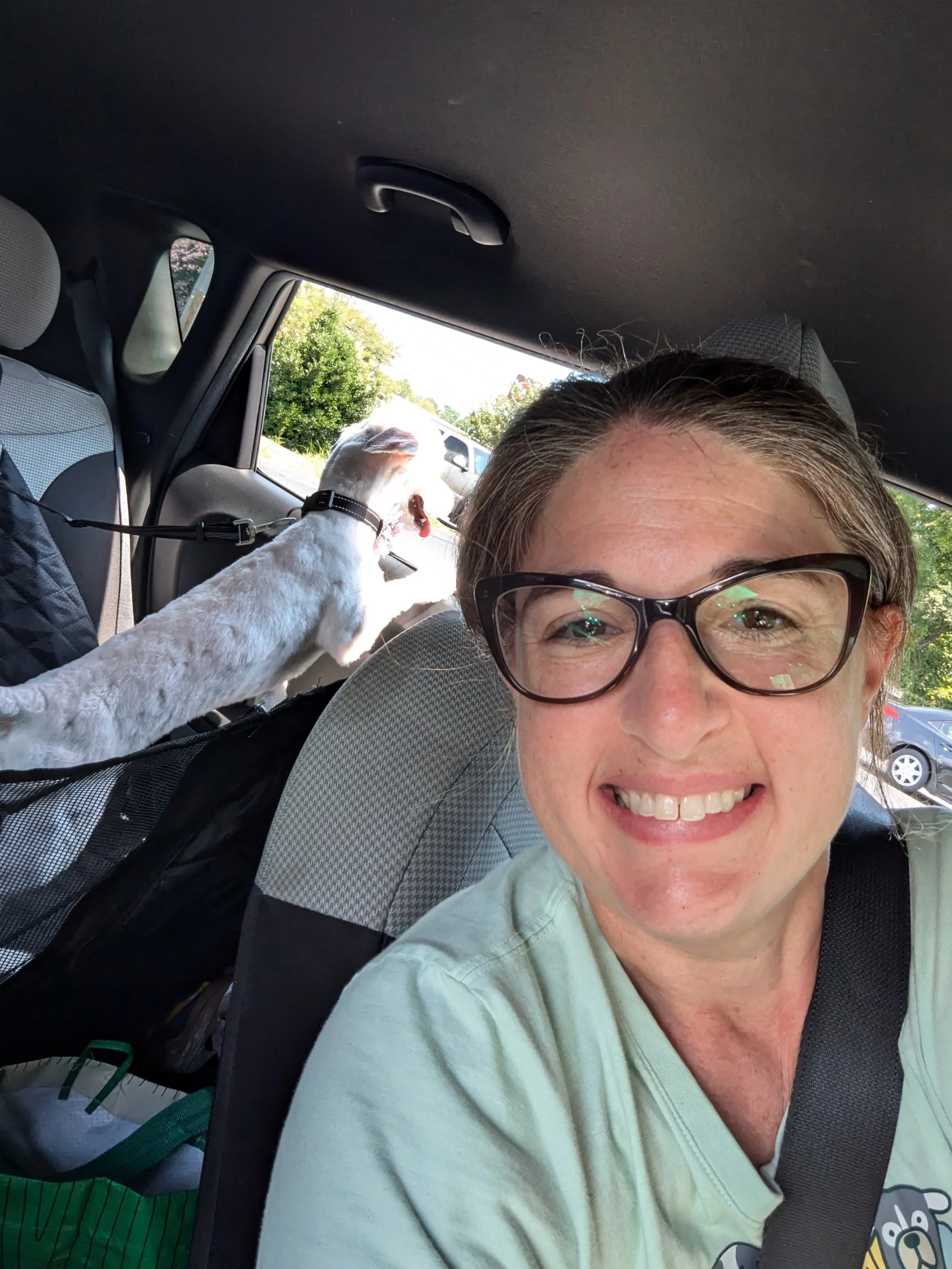 young woman smiles to camera, wearing glasses and a pale green Tshirt, sitting in her car, driving a small white pup in backseat to an appointment. The pup is smiling and has its feet on the door as it has it's head out the window.