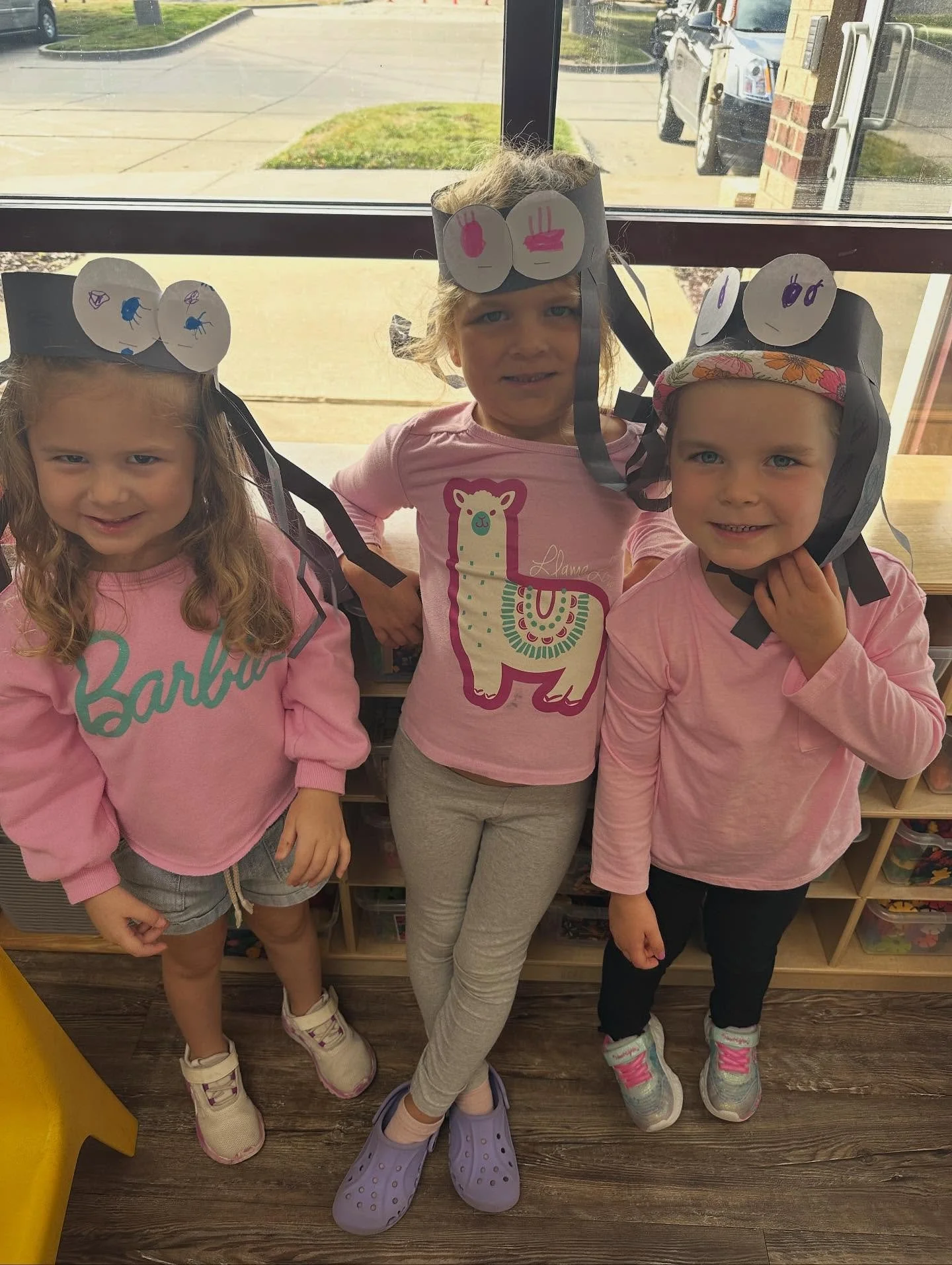 All things spiders. 🕷️🕸️