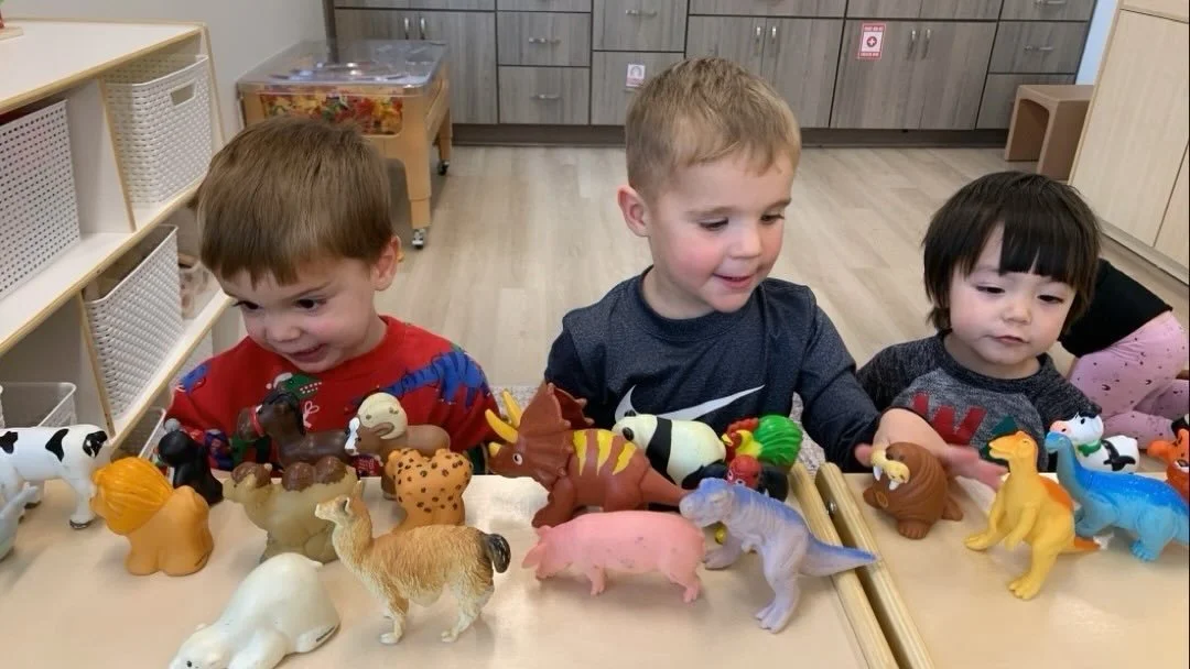 Buddies doing things 🦖🐢🦕🐒🐮🐻🦁🐶