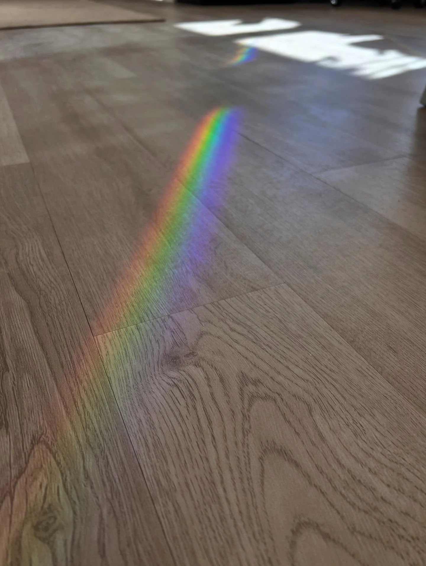 When the sun hits just right&hellip;.. every day. 🌈☀️