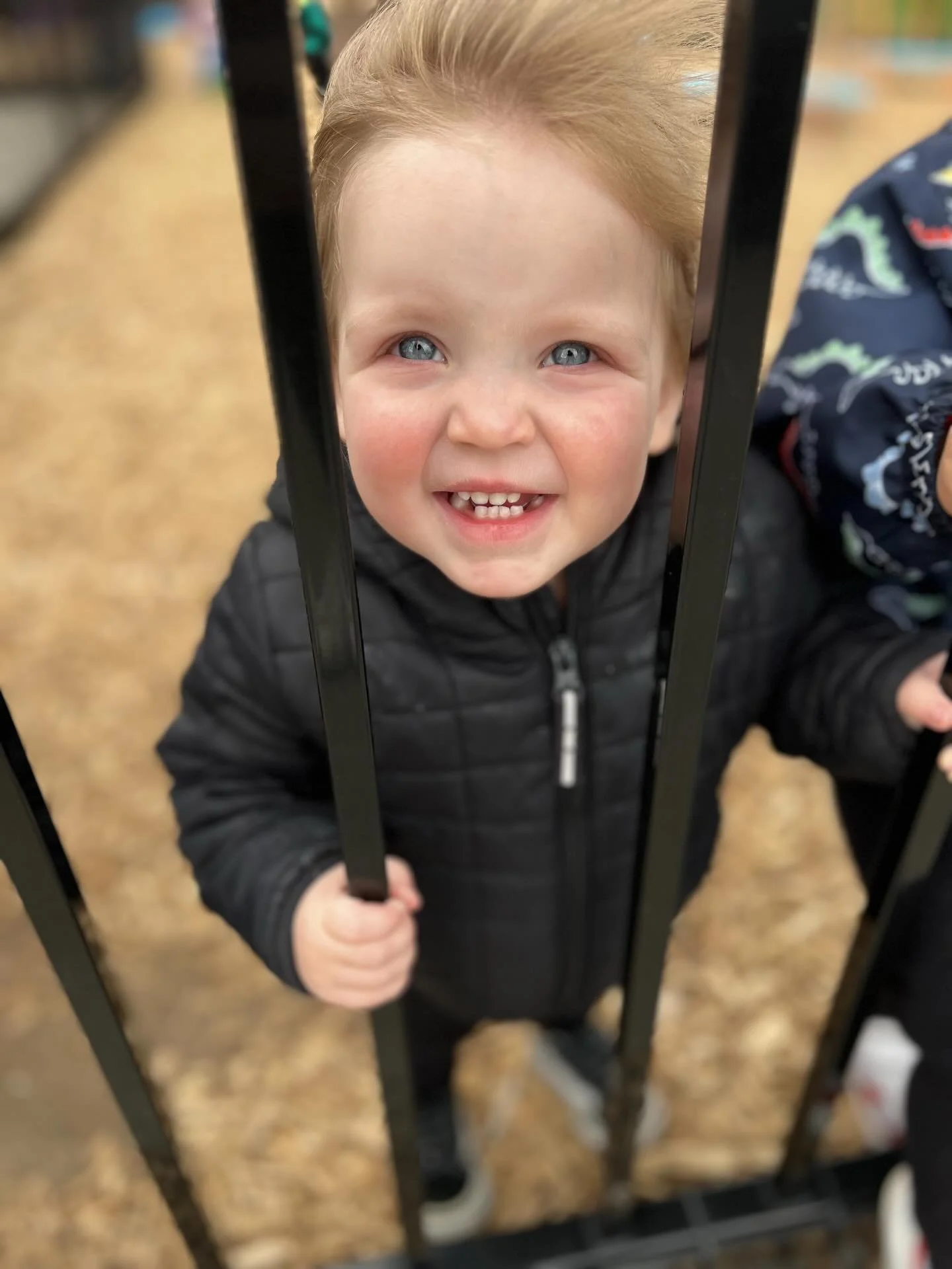 It&rsquo;s windy out there! 💨💨🥰