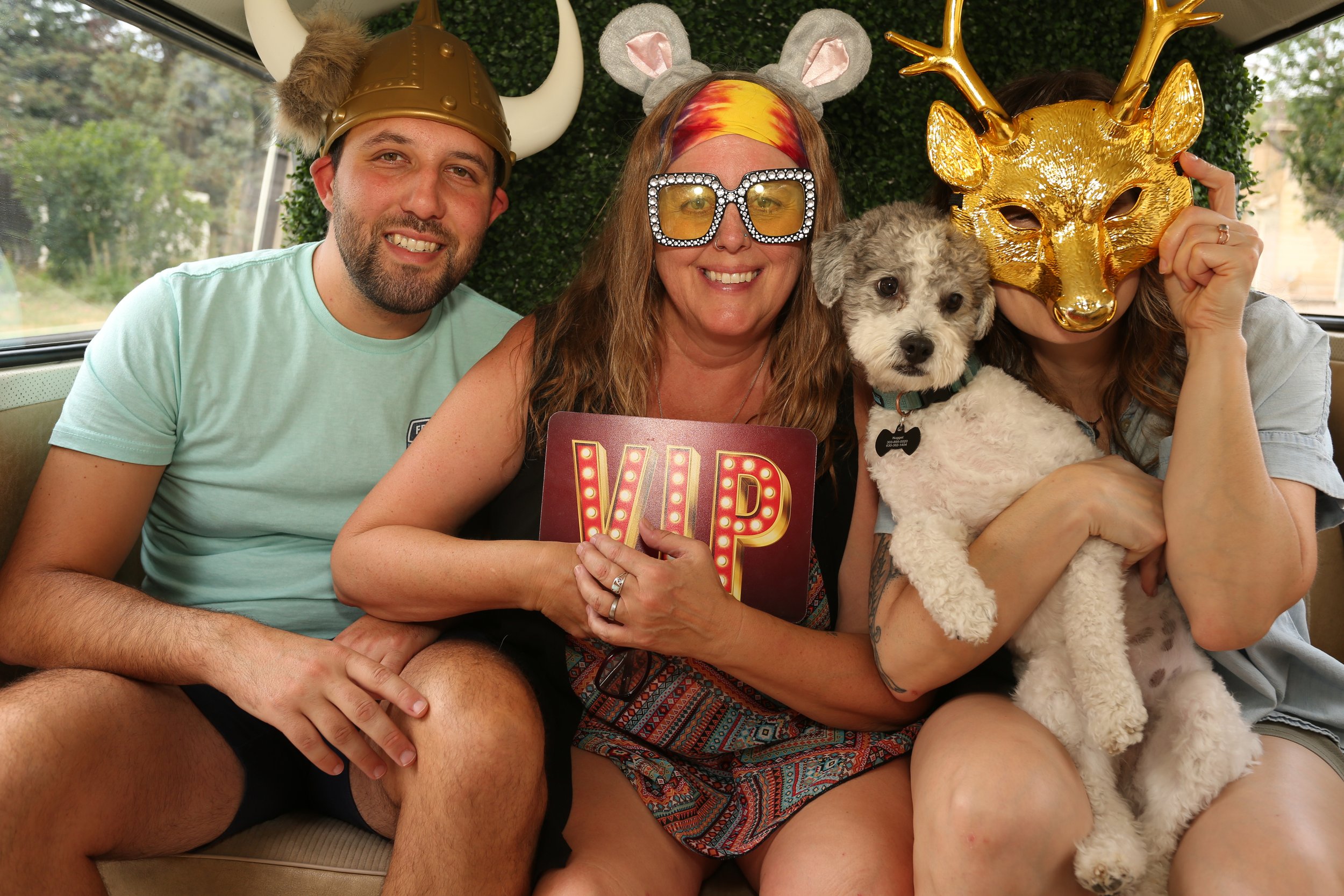 A group of four people and a dog posing together indoors. They wear fun costumes including a Viking helmet, a mouse headband, glittery glasses, and a gold deer mask. One person holds a sign that says 'VIP'.
