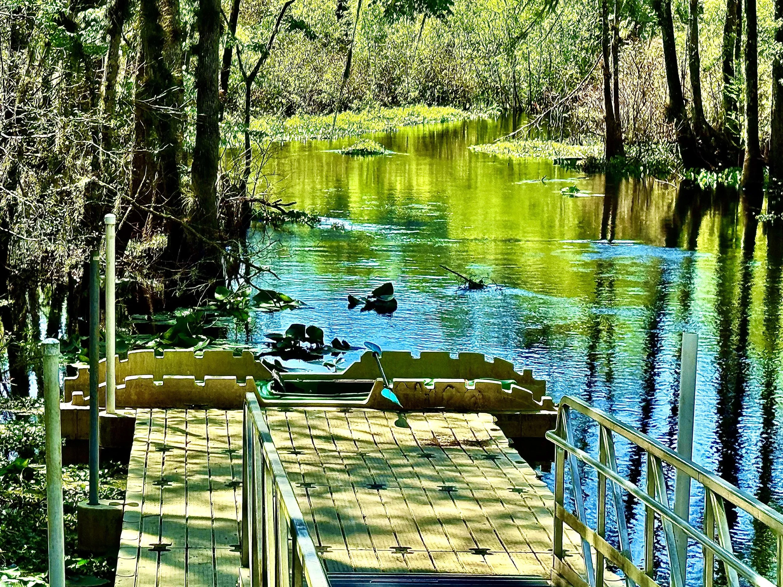A wheelchair accessible ramp leading to a dock on a swampy area with water and trees, with kayaking gear on the dock, surrounded by trees and water.