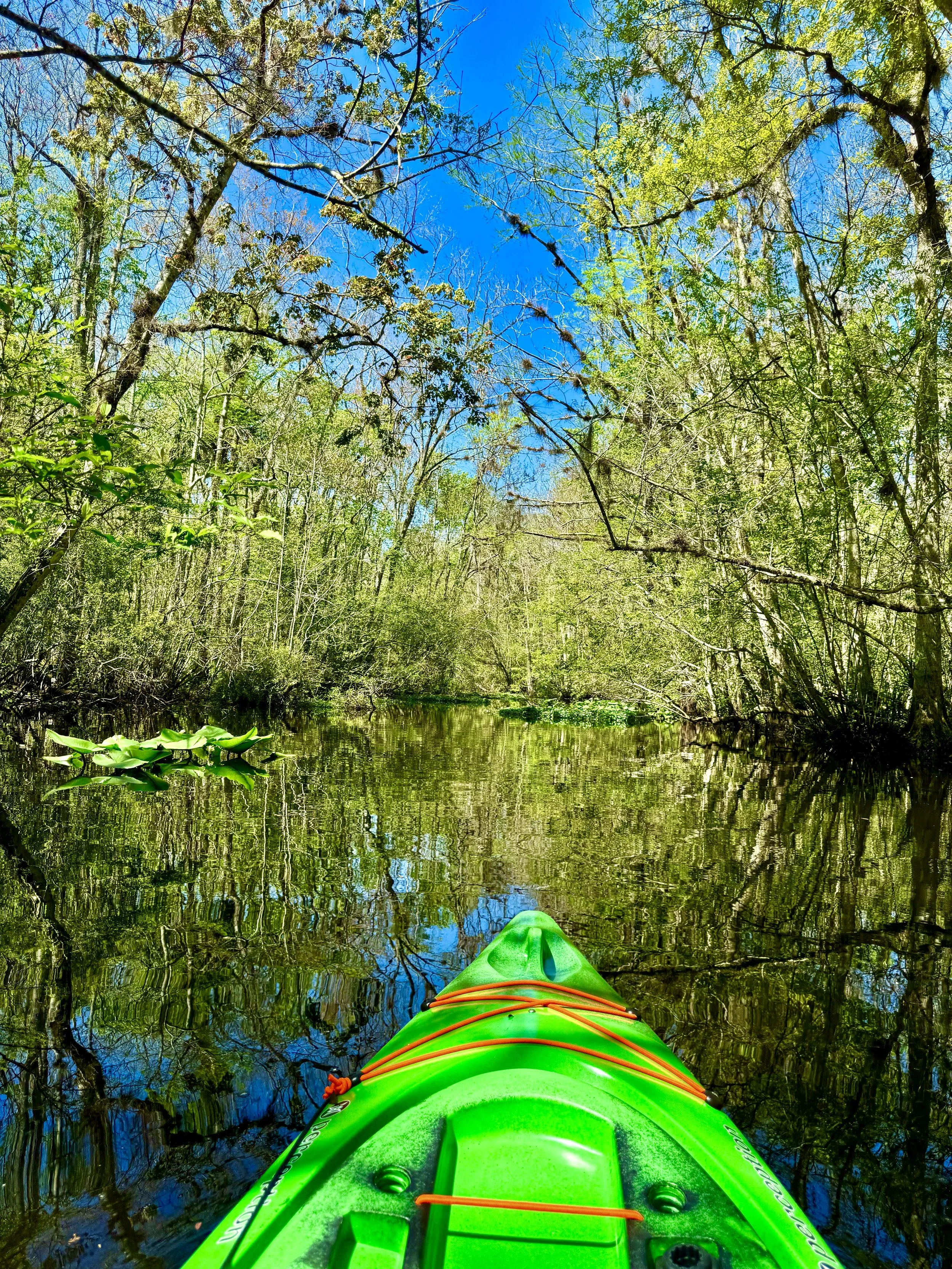 View from a green kayak on a calm, narrow waterway surrounded by lush trees with a bright blue sky above.
