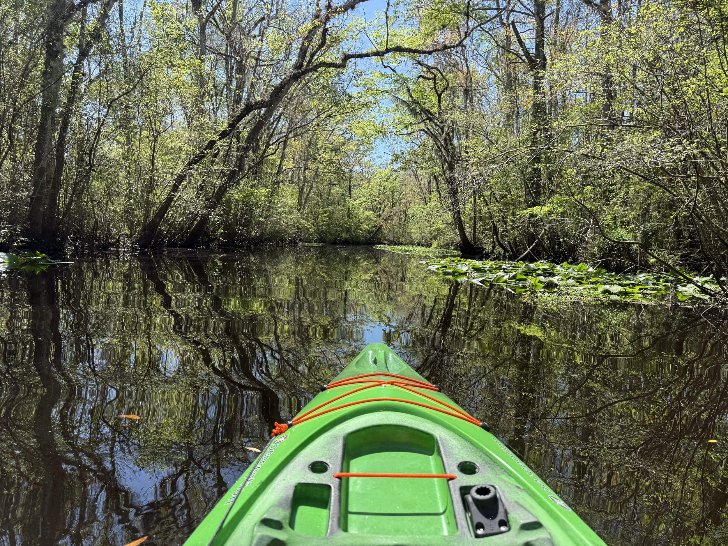 View from a green kayak on a calm, narrow river surrounded by lush trees and greenery on a sunny day.