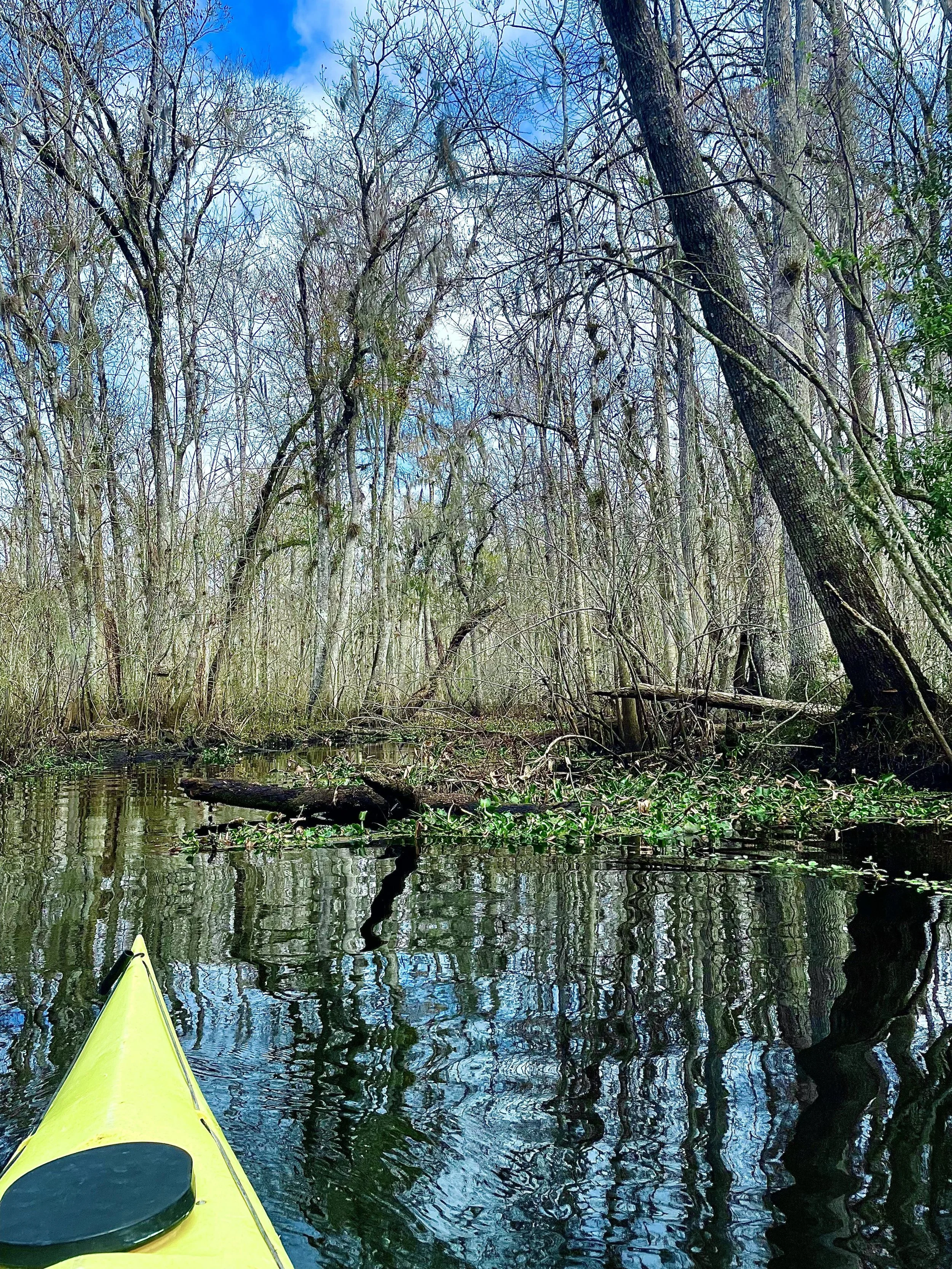 Yellow kayak on a calm river in a swamp with leafless trees and a partly cloudy blue sky reflected in the water.