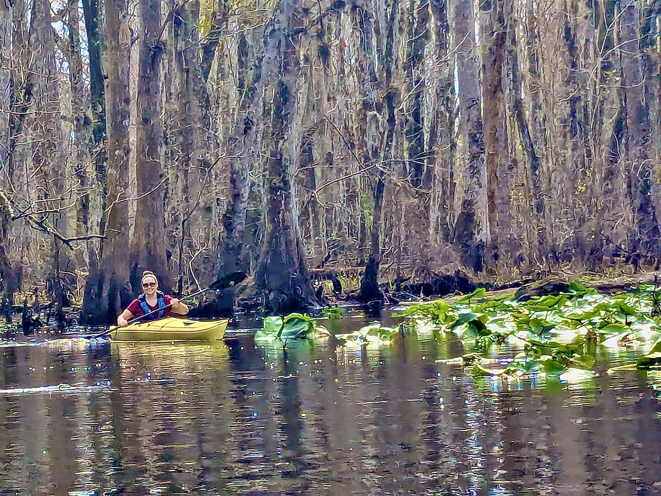 Person kayaking through a swampy forested waterway with tall trees and water lilies.