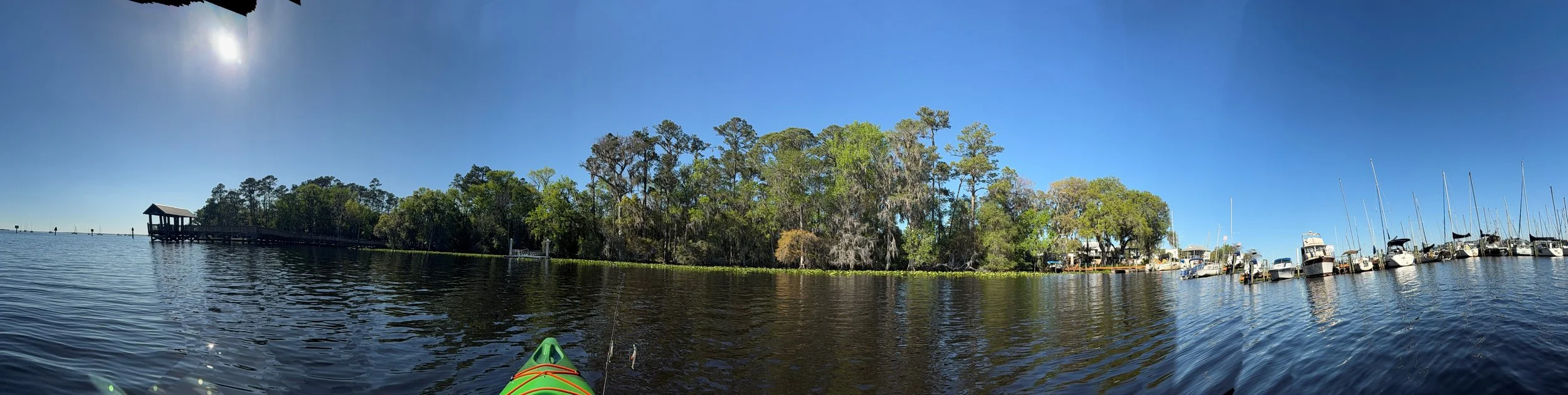 View of a marina with boats docked, trees along the shoreline, and a clear blue sky, taken from a kayak on the water.