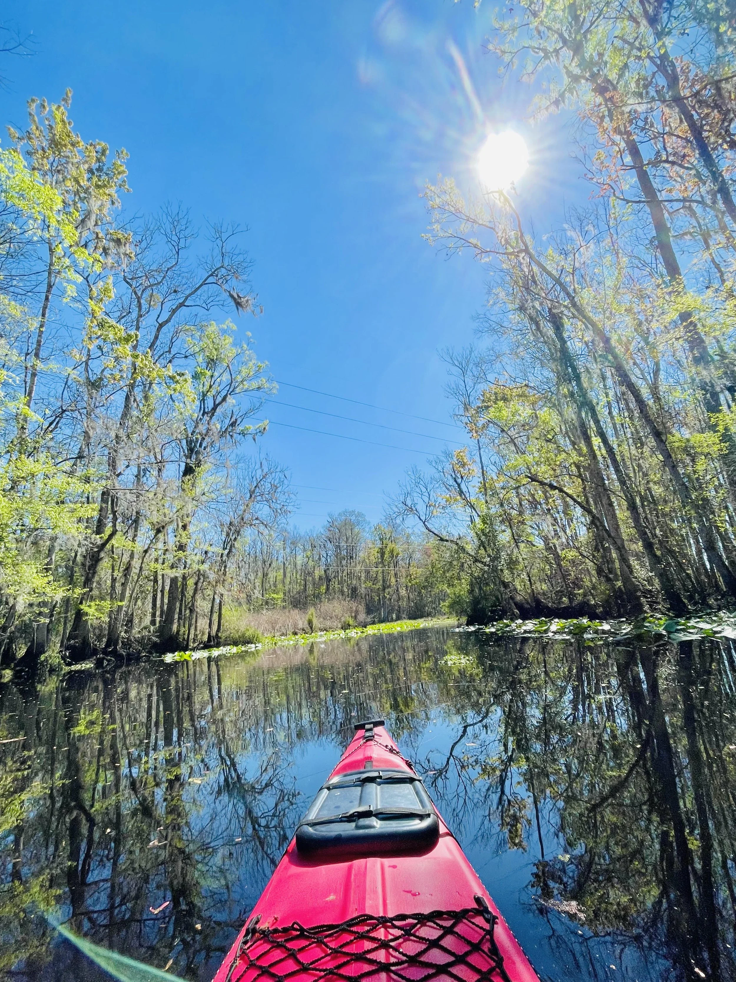 A red kayak on calm river water with trees and blue sky, bright sunlight shining.