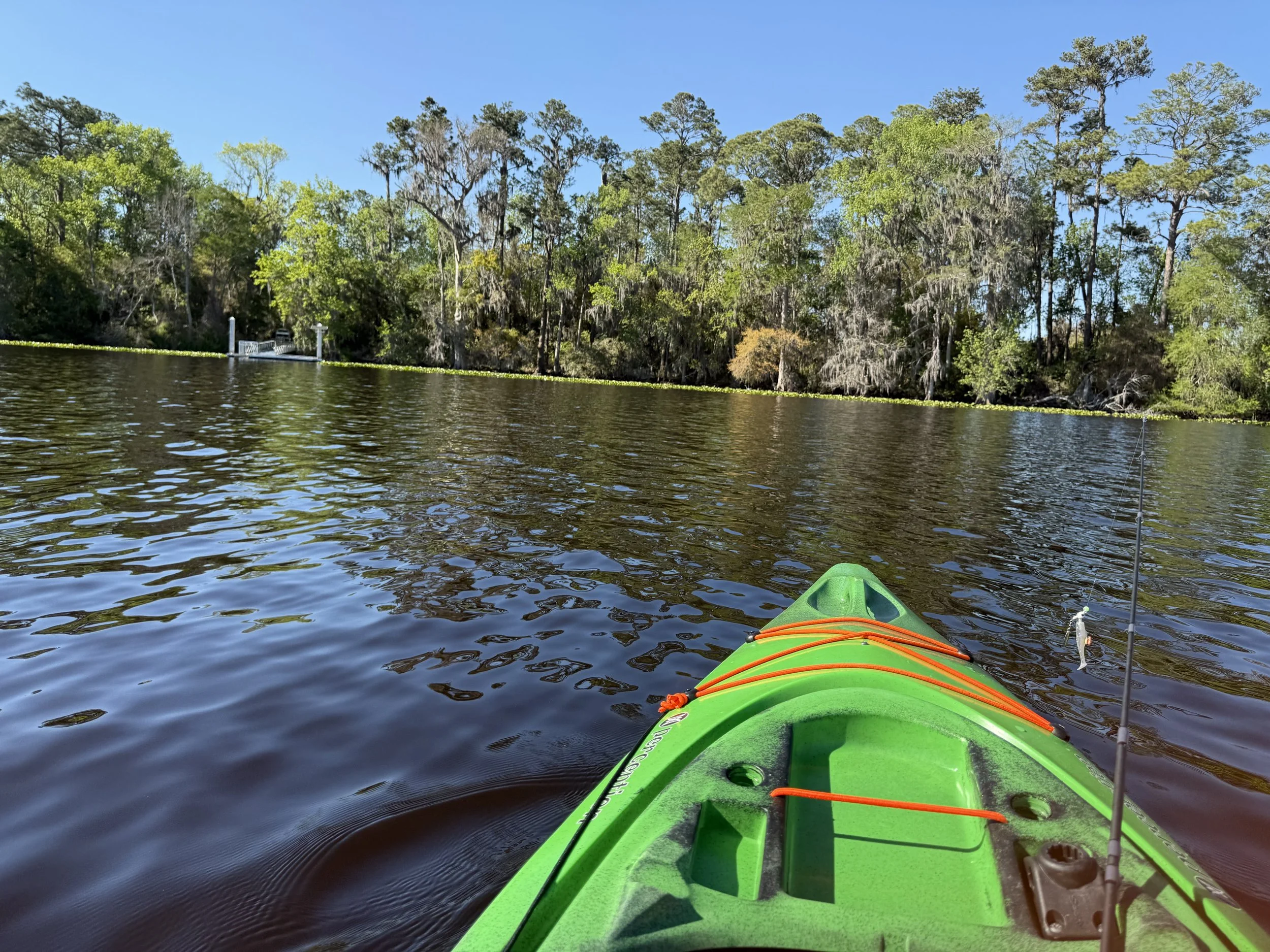 View from a green kayak on a river with trees along the bank and a blue sky overhead.