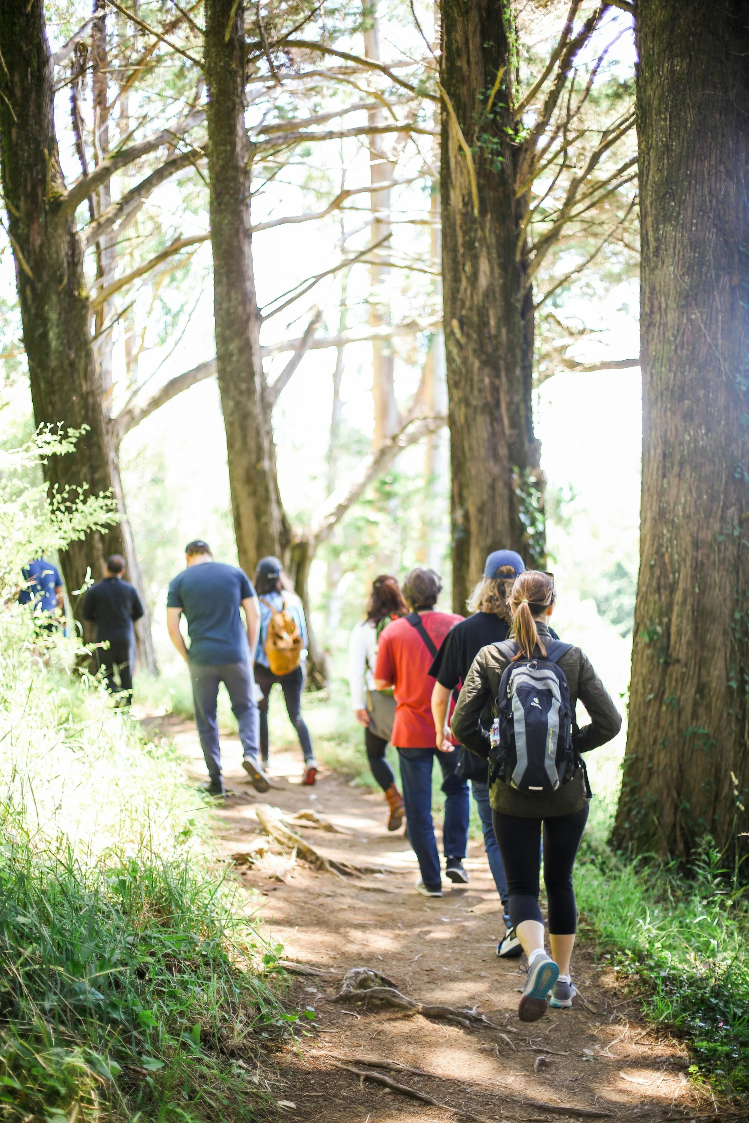 Step into Wellness: The Joy and Benefits of Walking Outdoors